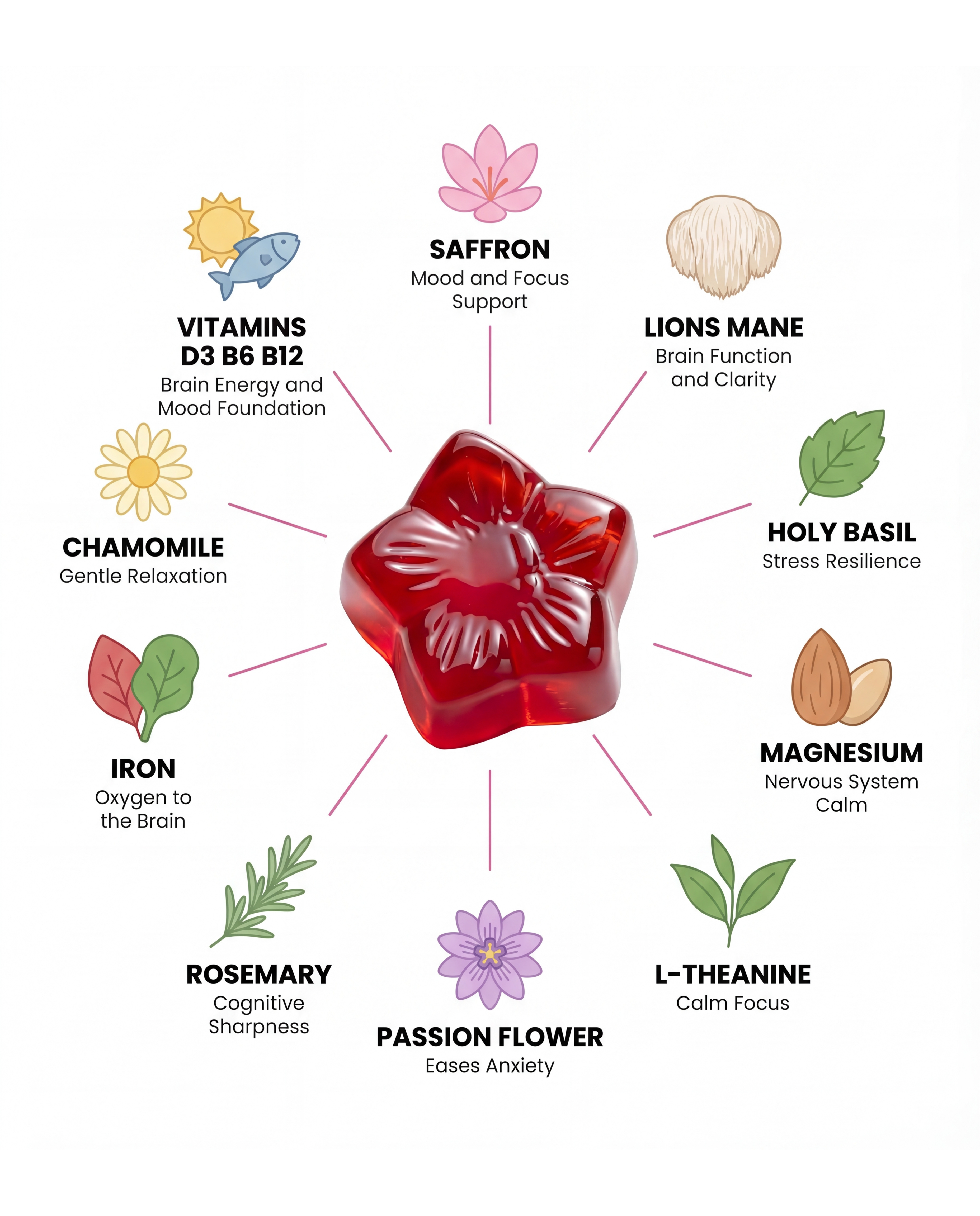 An infographic showing a red gummy and illustrations of its various ingredients and their benefits.