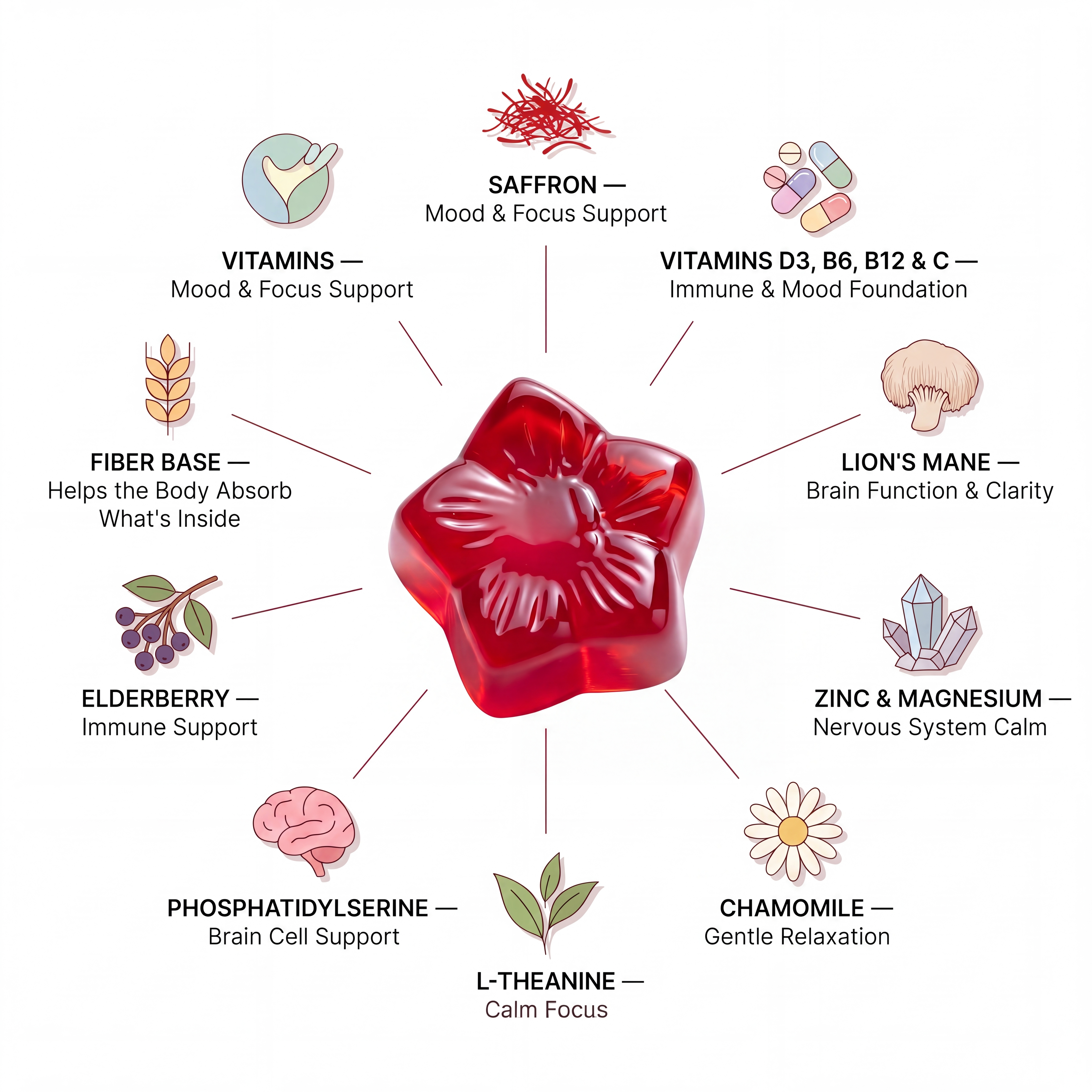 An infographic showing a red gummy surrounded by illustrations of its ingredients and their respective health benefits.