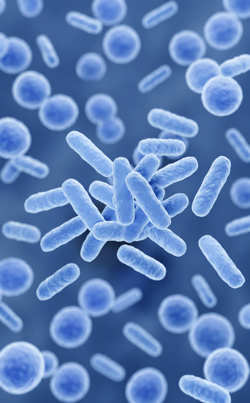 A close-up, digital rendering of blue rod-shaped and spherical bacteria against a blue background.