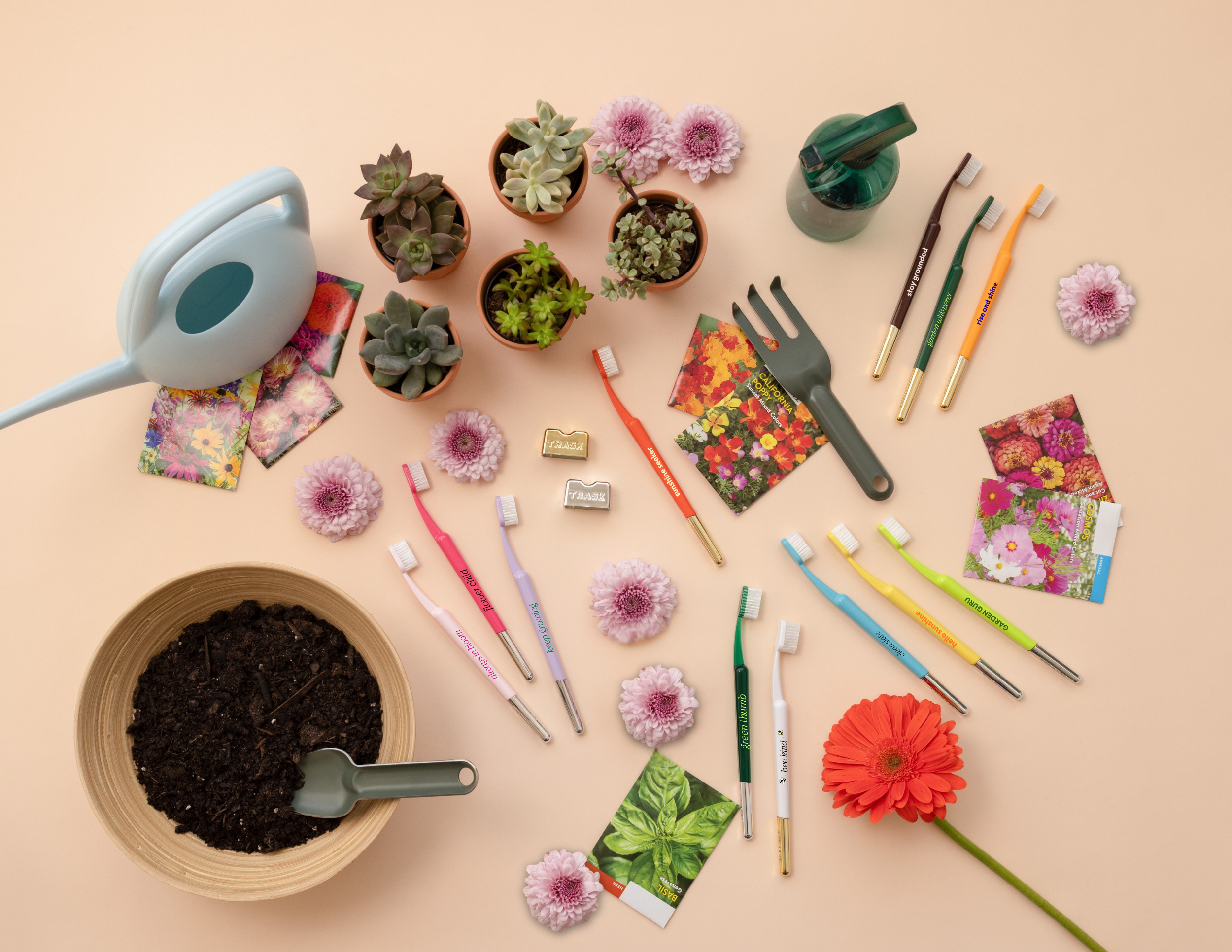 A flat lay of colorful toothbrushes arranged with gardening tools, potted succulents, flowers, and seed packets.