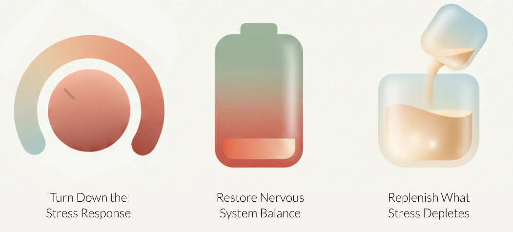 Stress Reset | Natural Stress Relief & Energy Support – Essentl Blends
