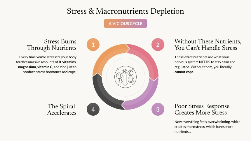Stress Reset | Natural Stress Relief & Energy Support – Essentl Blends
