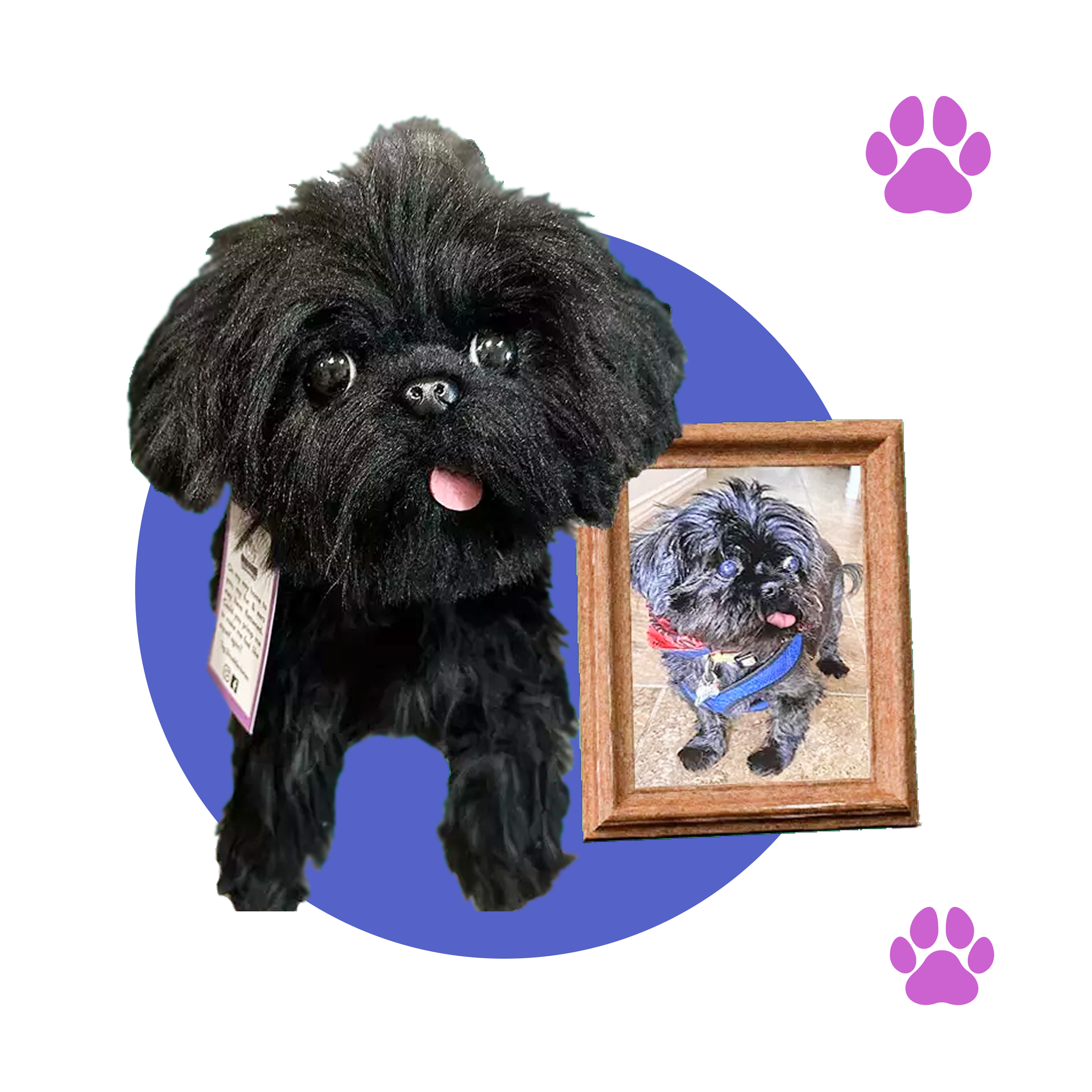 Stuffed black dog with a photo of a similar dog, purple paw prints decoration.