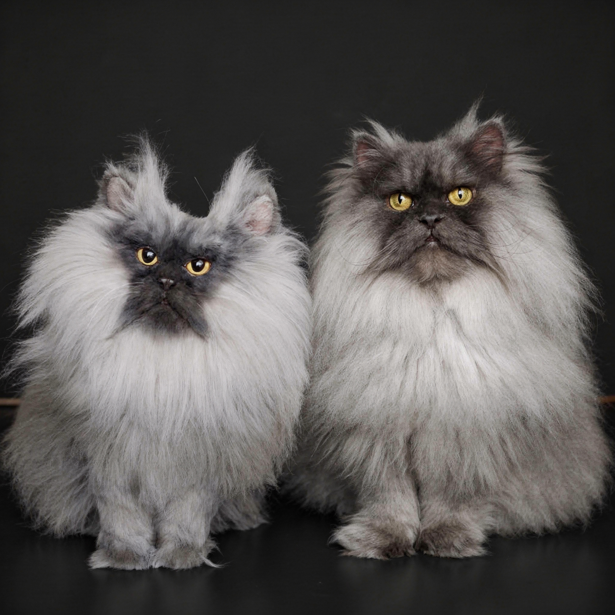 A fluffy grey Persian cat sits beside a matching plush toy replica.