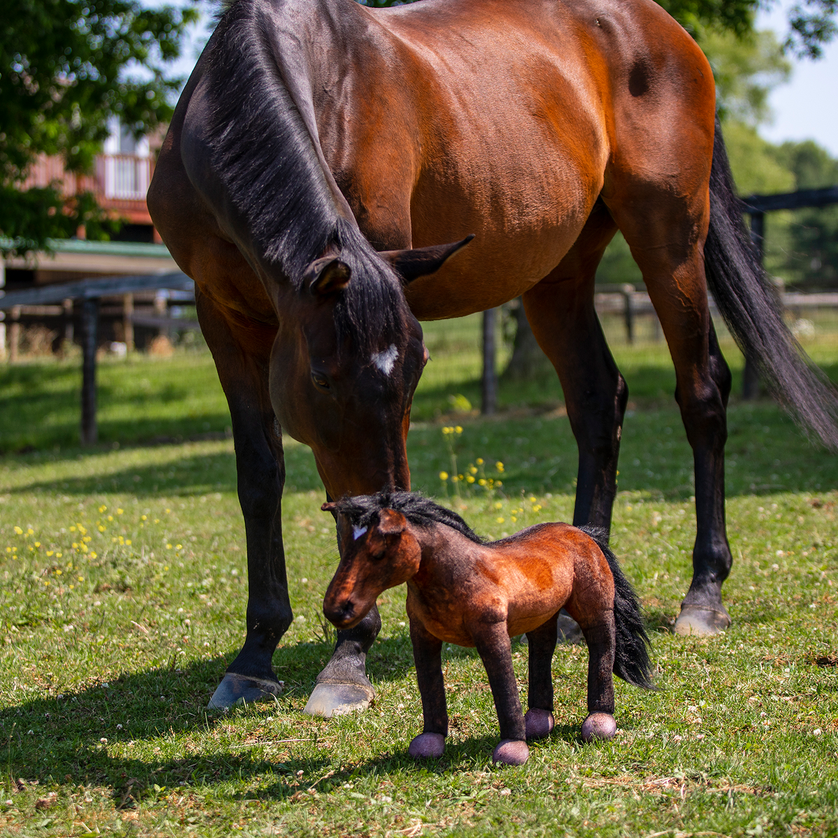 Brown horse nudging a small stuffed horse toy on grass.