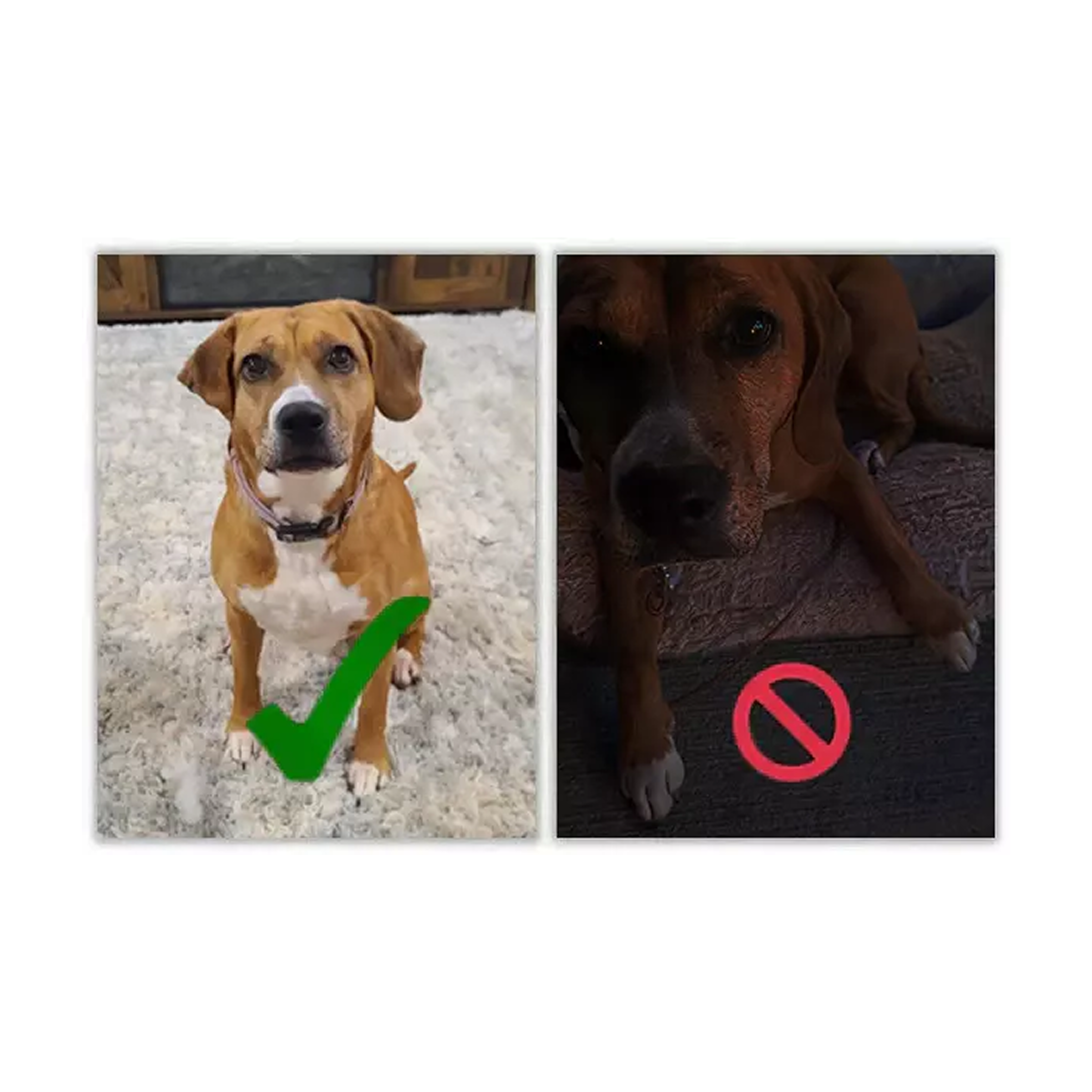 Example of picture illustrating the right nd wrong way to tak the pictures.