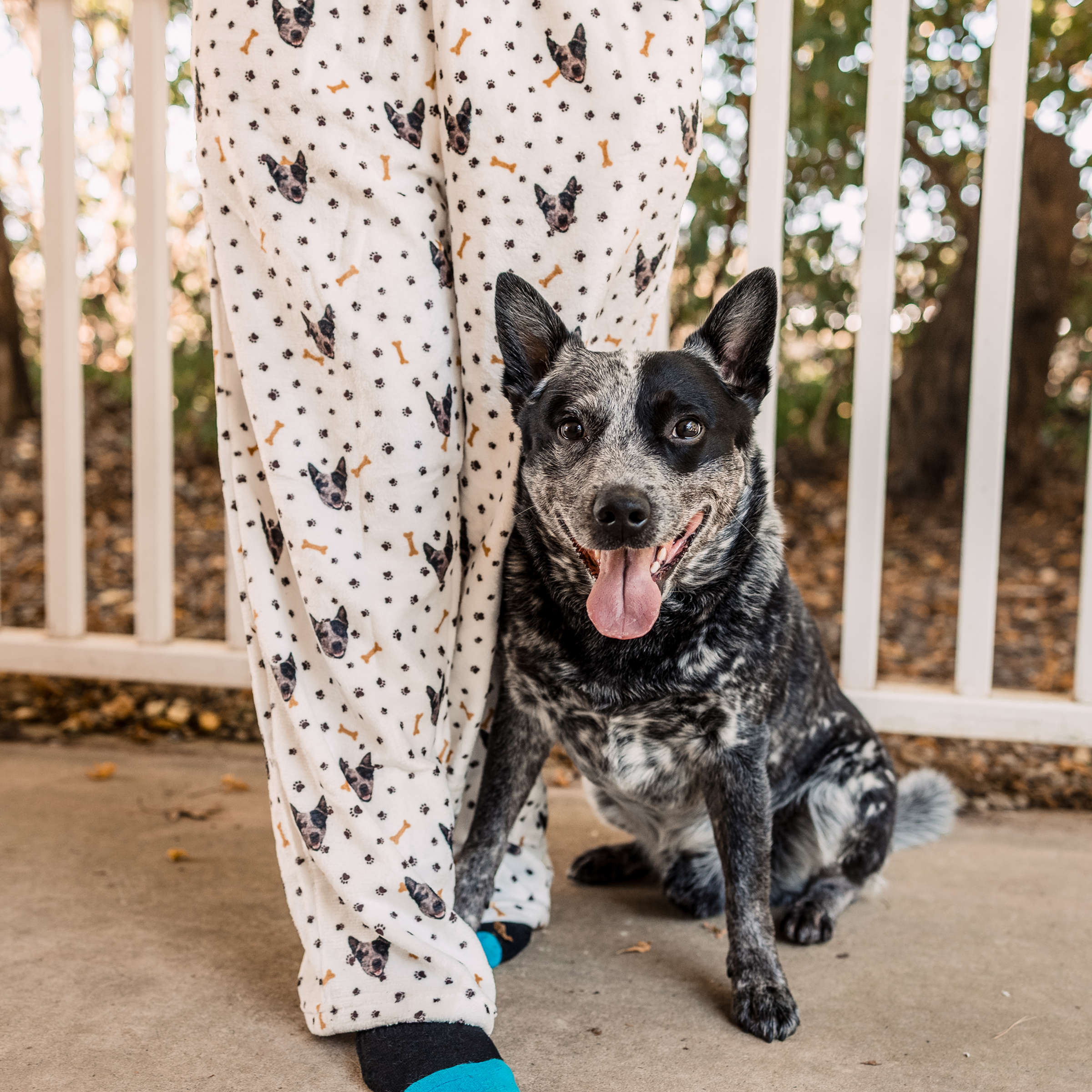 A black and white dog sits on the ground next to someone wearing pajama pants covered with dog faces and bone prints. The dog is looking at the camera with its tongue out.