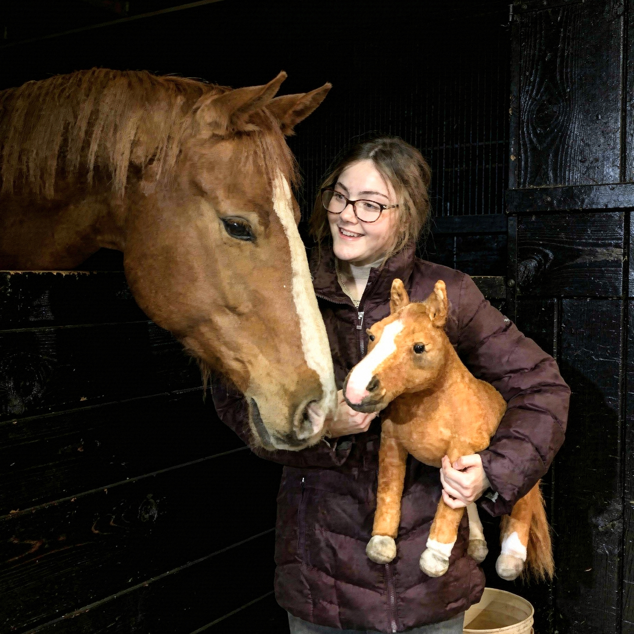 Person holding a plushed toy of a horse next to a real horse in a stable.