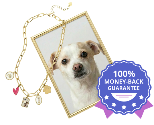 Dog portrait with a gold chain, heart charm, and a 100% money-back guarantee badge.