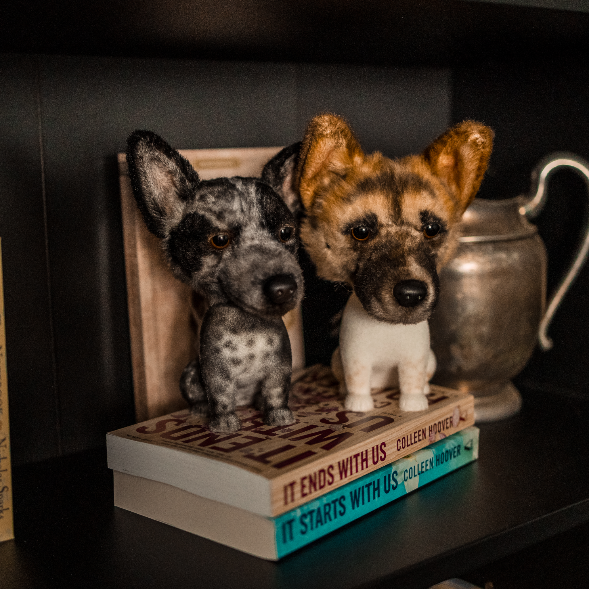 Two dog bobbleheads—speckled Heeler and Corgi—on books atop a dark shelf.
