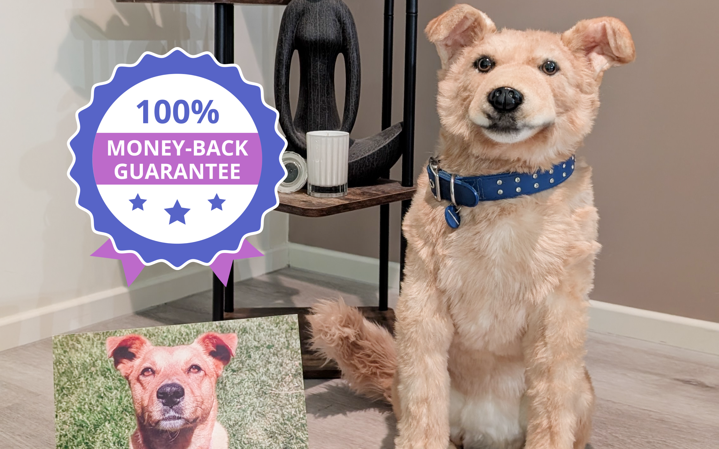 Tan dog plush with blue collar next to its photo and a guarantee badge.