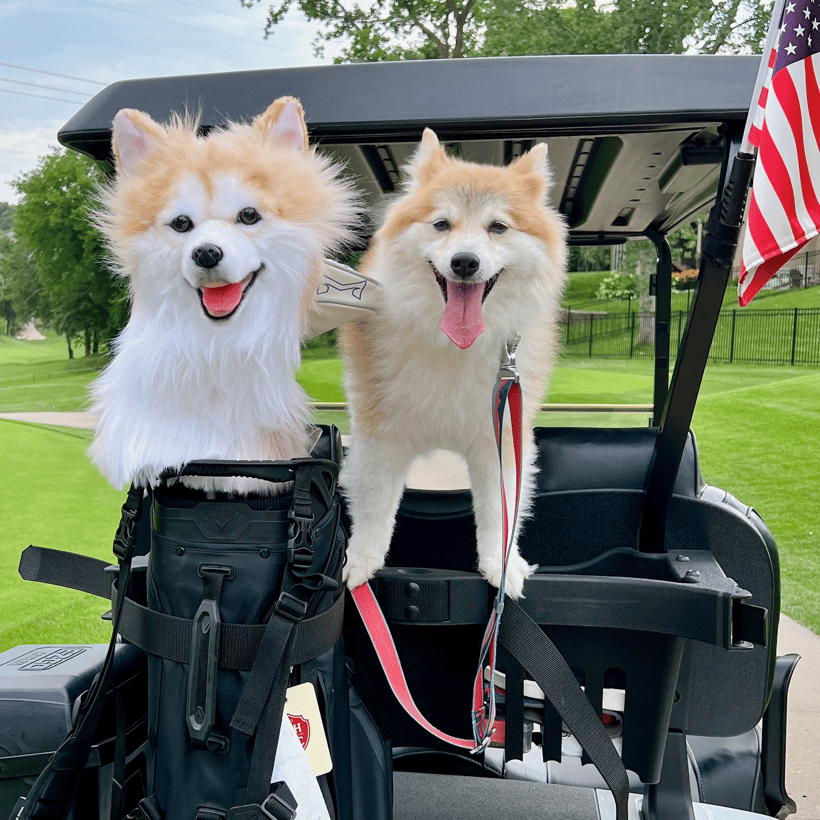 Custom Golf Headcovers | Handcrafted Custom Dog, Cat or Pet Head