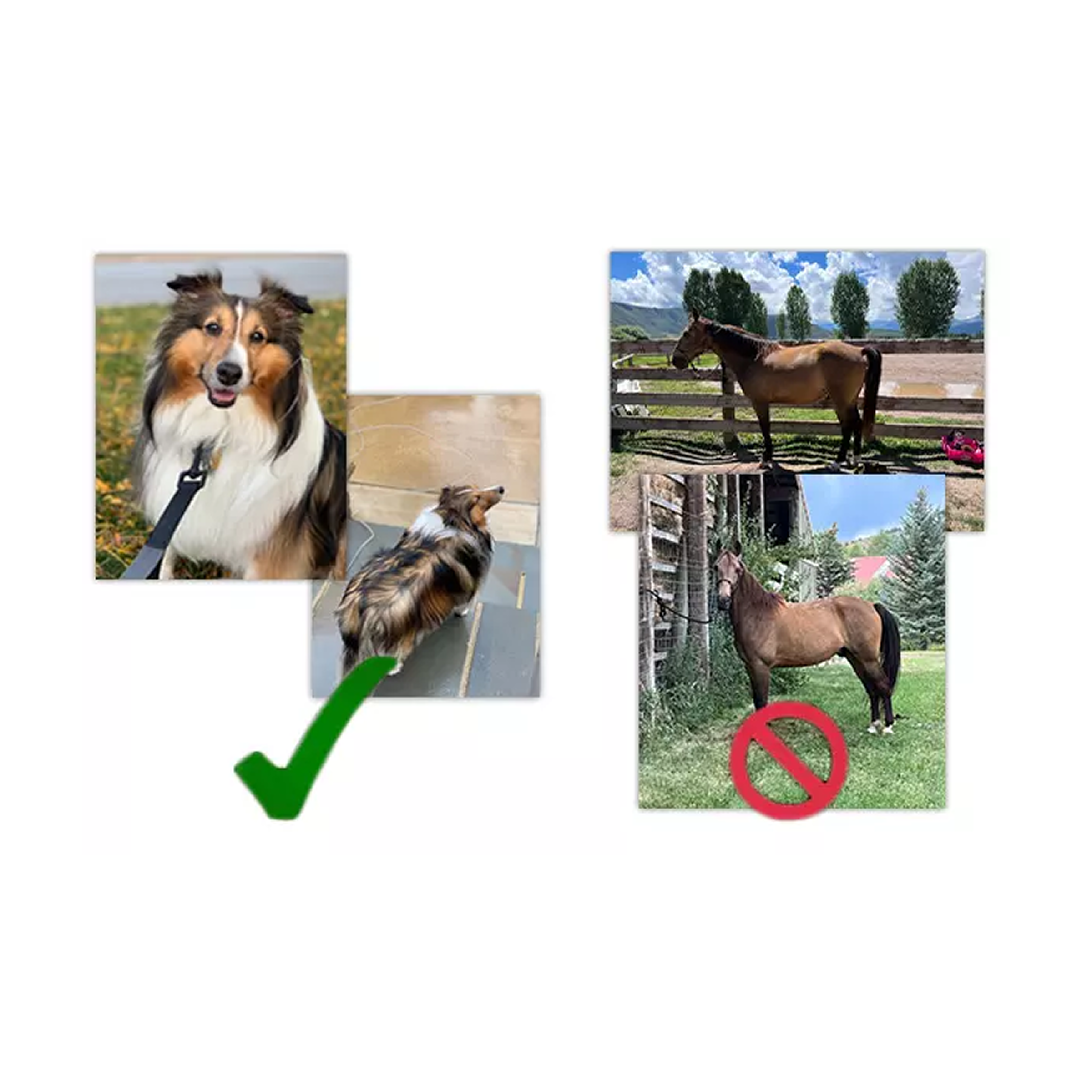 Example of the differen angles to use when selecing the picture. 