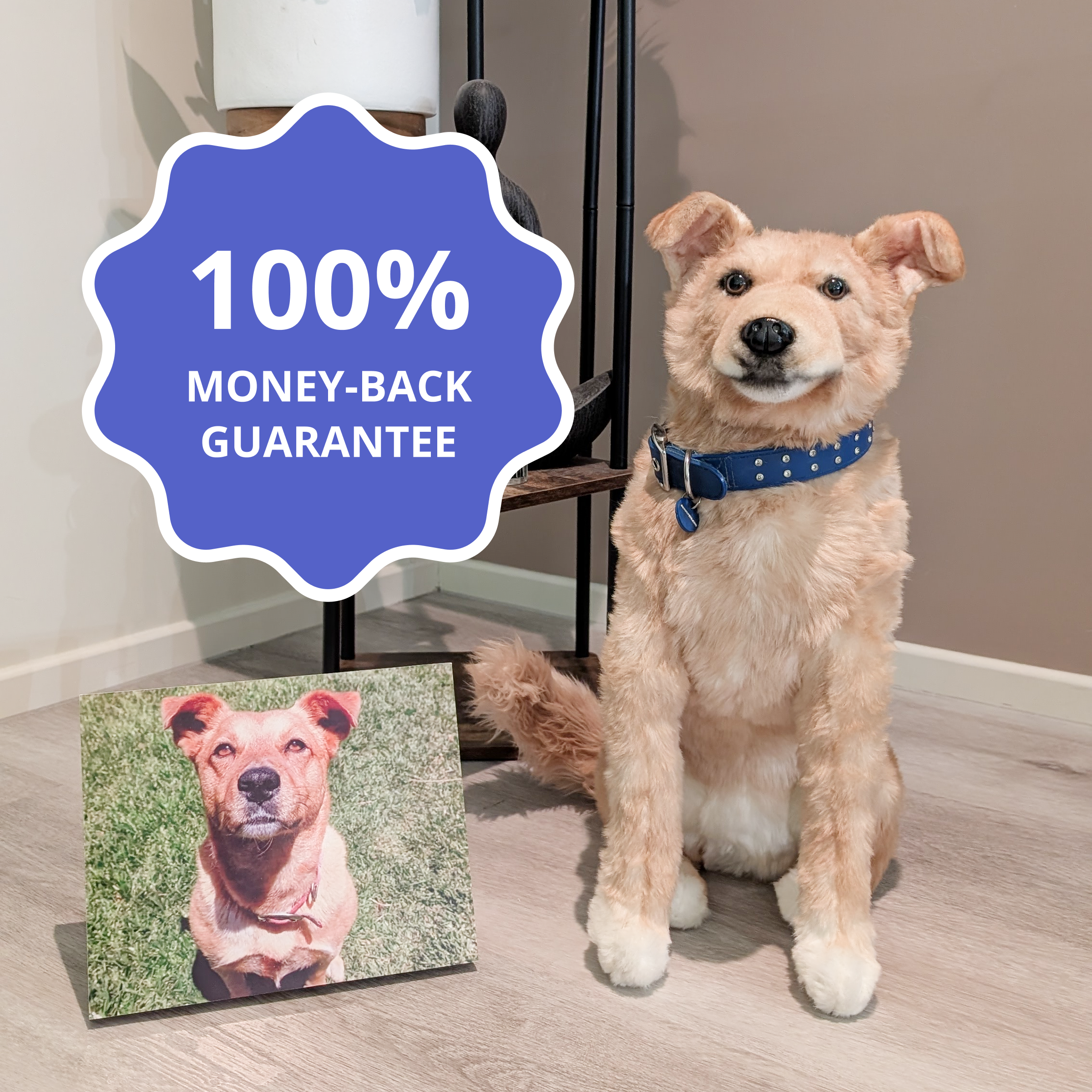 Custom plush dog replica sitting beside a framed photo of the real dog, with a blue badge overlay that reads “100% Money-Back Guarantee.