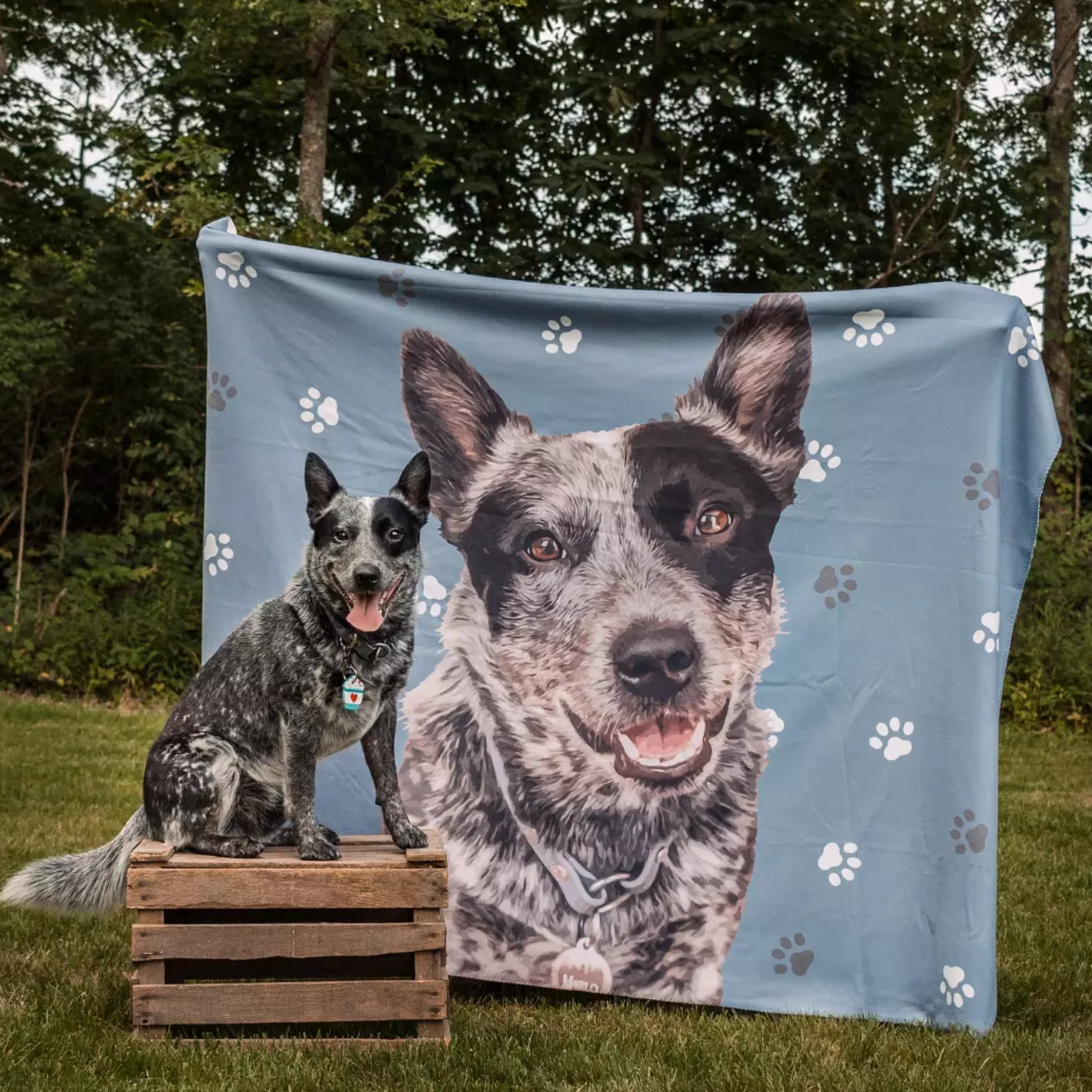A black and gray dog sits on a wooden crate outdoors, next to a blue blanket decorated with white paw prints and a large portrait of the same dog.