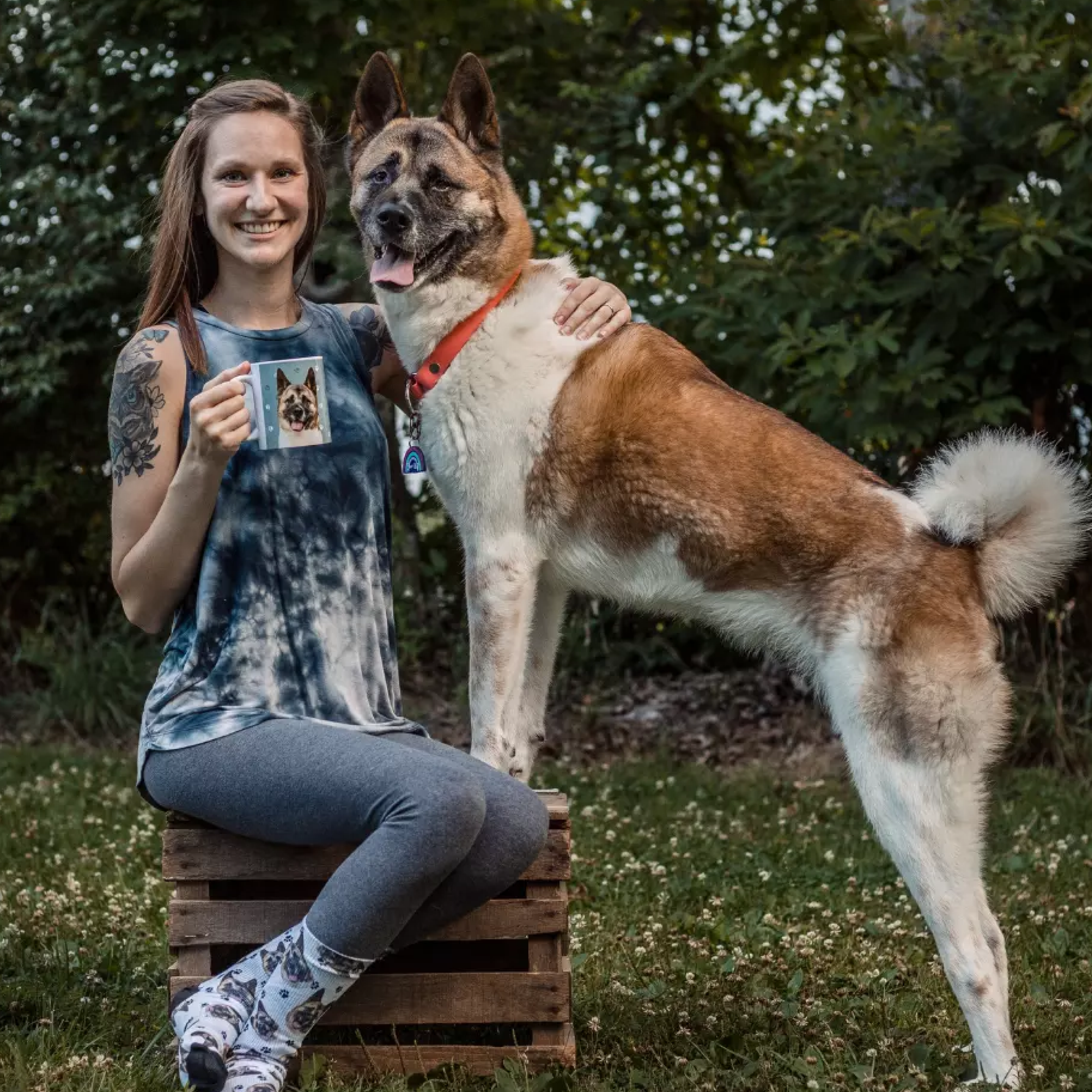 A smiling woman with tattoos on her arm is seated on a wooden crate outdoors. She is holding a mug with a matching dog portrait. Standing next to her is a large, happy brown and white Akita or Akita mix dog with a red collar.