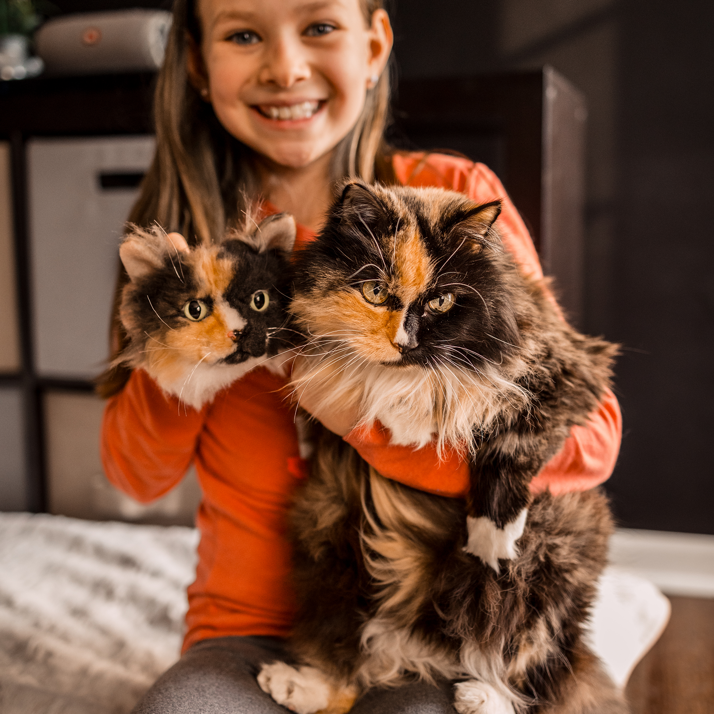 Person holding a cat and a cat-shaped plush magnet.