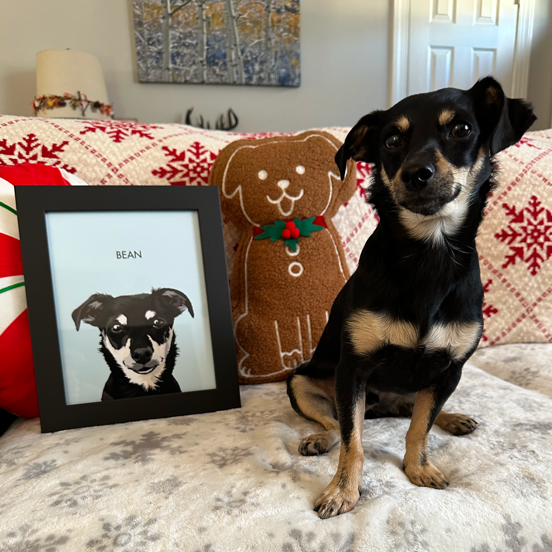 A black and tan dog sits on a couch decorated with red and white snowflake pillows, next to a framed illustration of its face with the name 'BEAN,' and a gingerbread man plush toy.