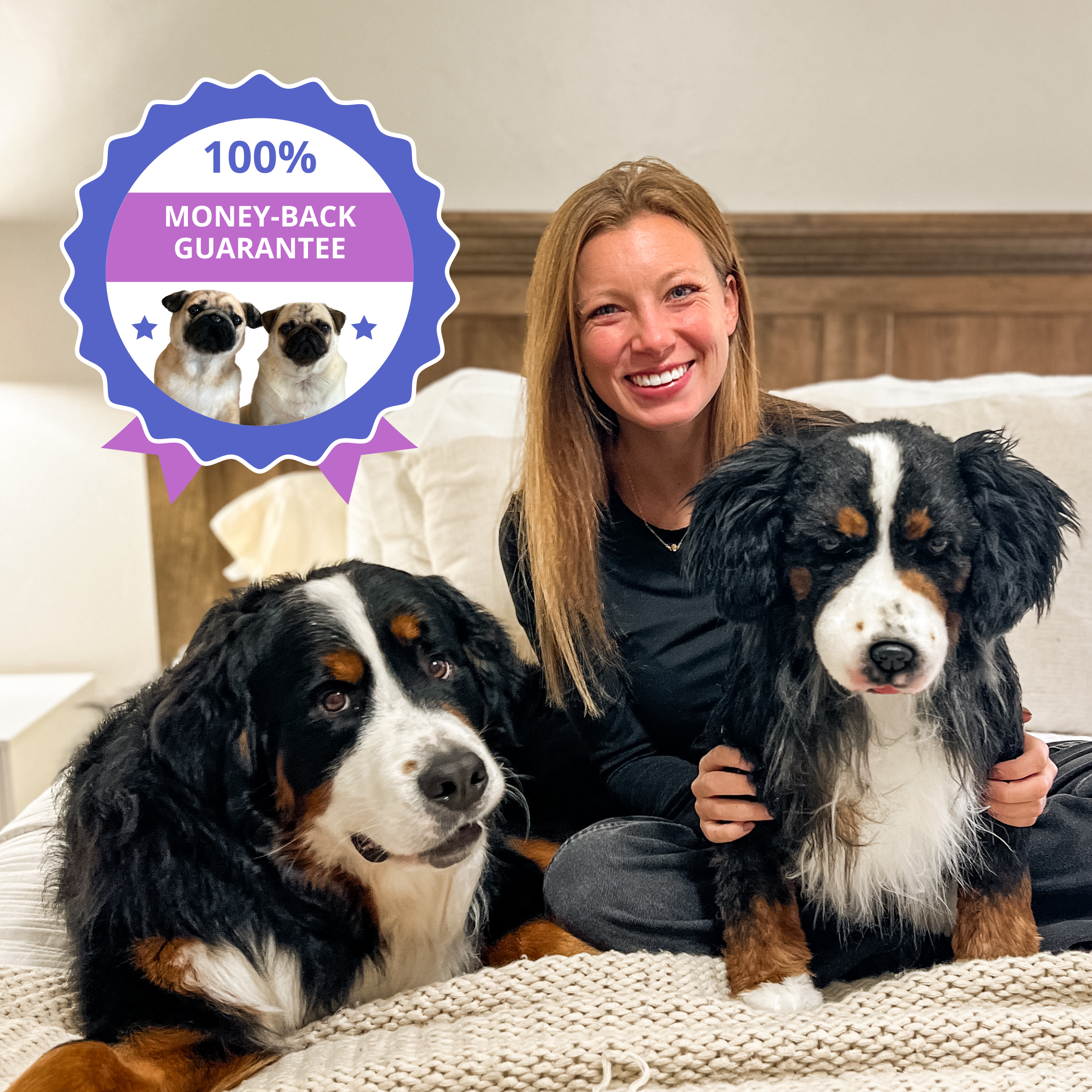 Smiling woman sitting on a bed with two Bernese Mountain Dogs, one real and one plush, with a “100% Money-Back Guarantee” badge on the image.