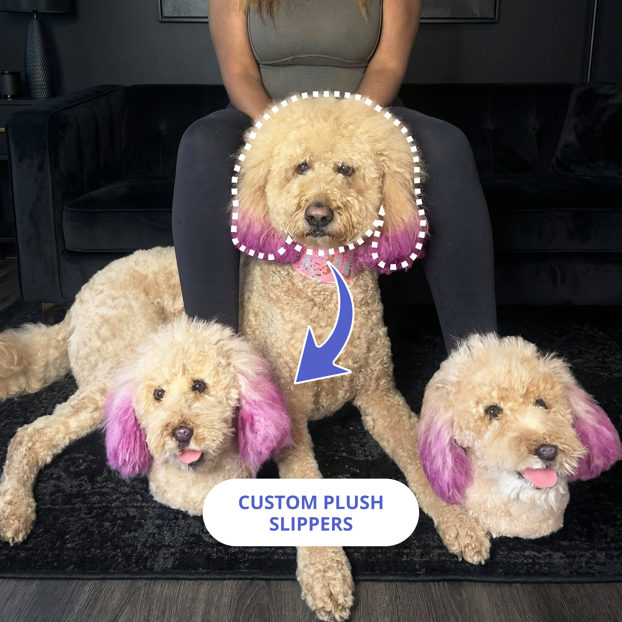 Person sitting on a living room with a do and two plush slippers.