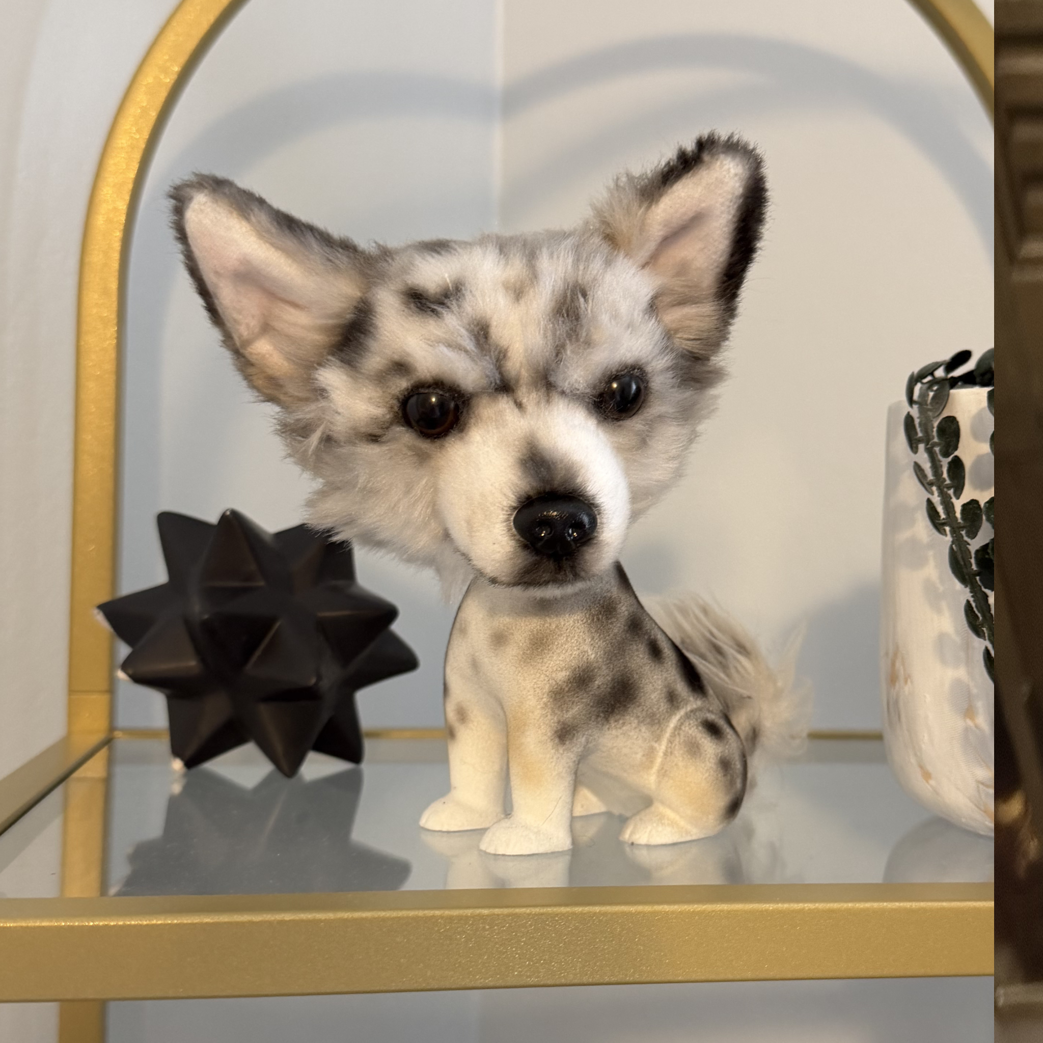 Merle Corgi custom bobblehead displayed on a gold glass shelf with decorative accents.