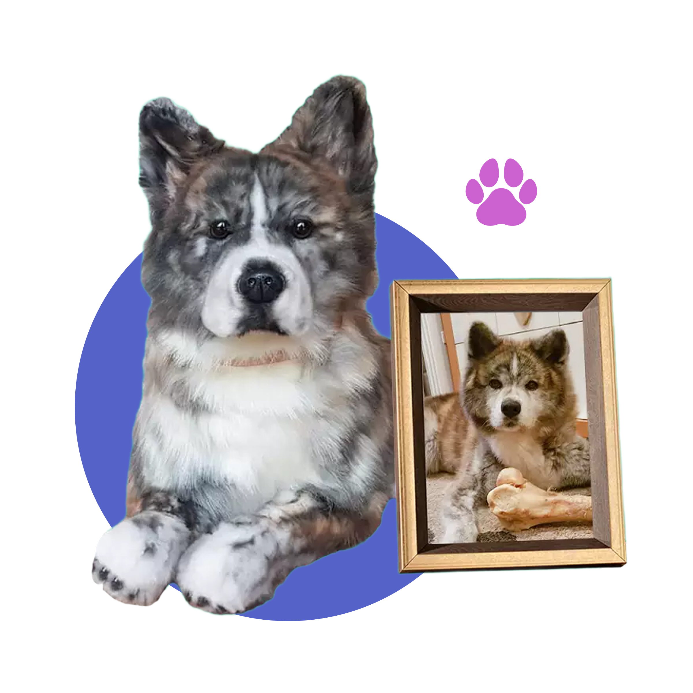 A fluffy dog with a framed photo of itself, purple paw print, on a blue circle background.