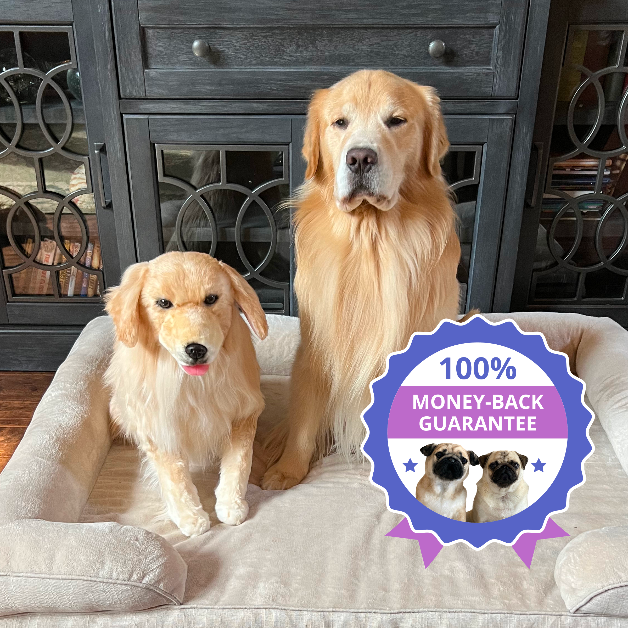 Golden Retriever sitting beside a realistic plush version of itself on a dog bed, with a blue badge reading '100% Money-Back Guarantee.'