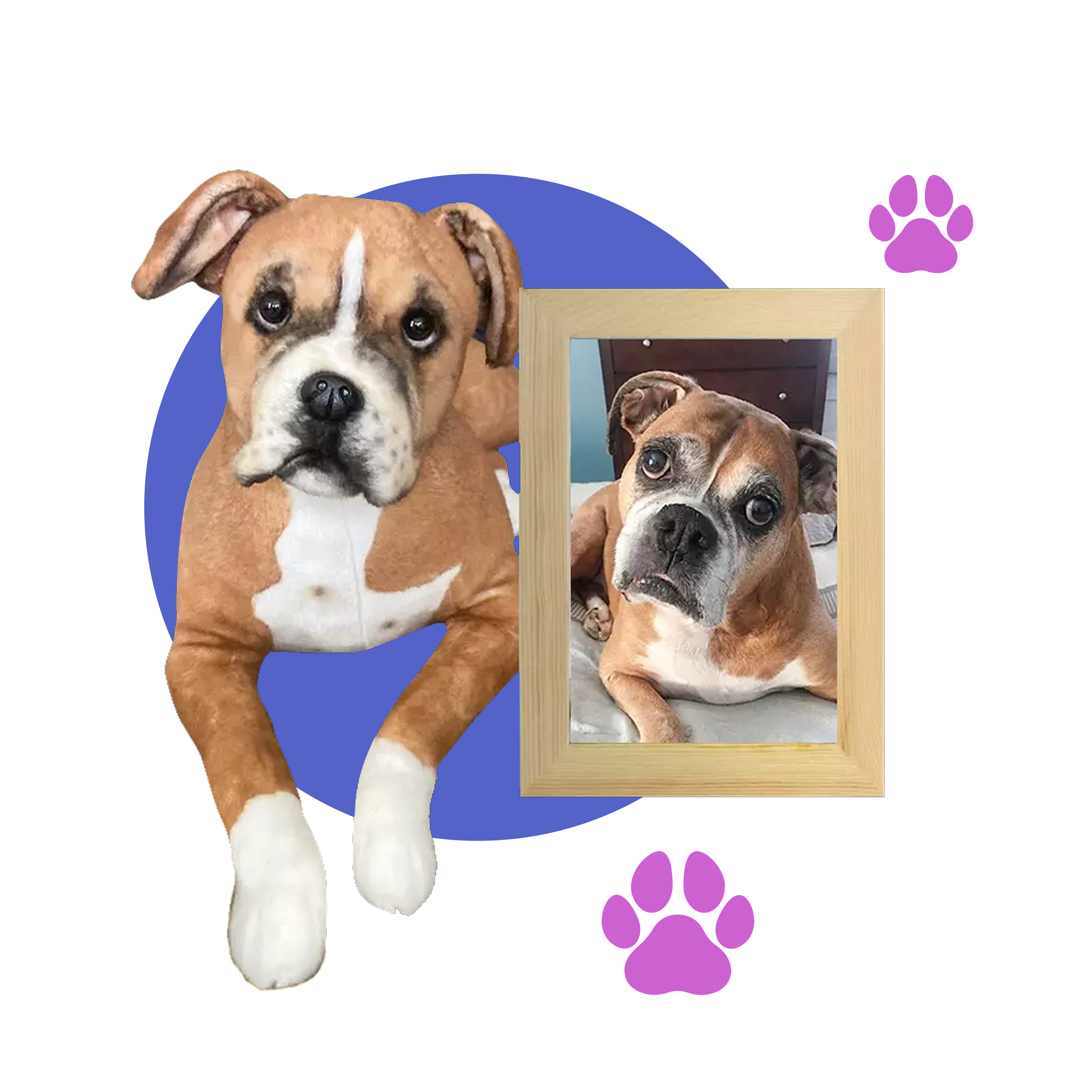A plush dog with a framed photo of a similar-looking brown and white dog.