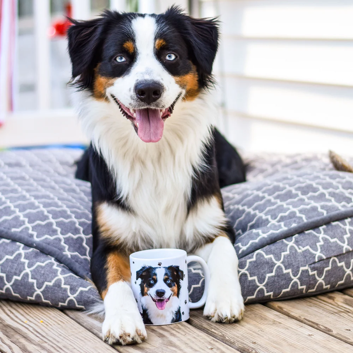 A happy black, white, and brown Australian Shepherd with blue eyes is lying on a gray cushion with a geometric pattern on a wooden deck. A white mug featuring a portrait of the dog is placed between its paws.