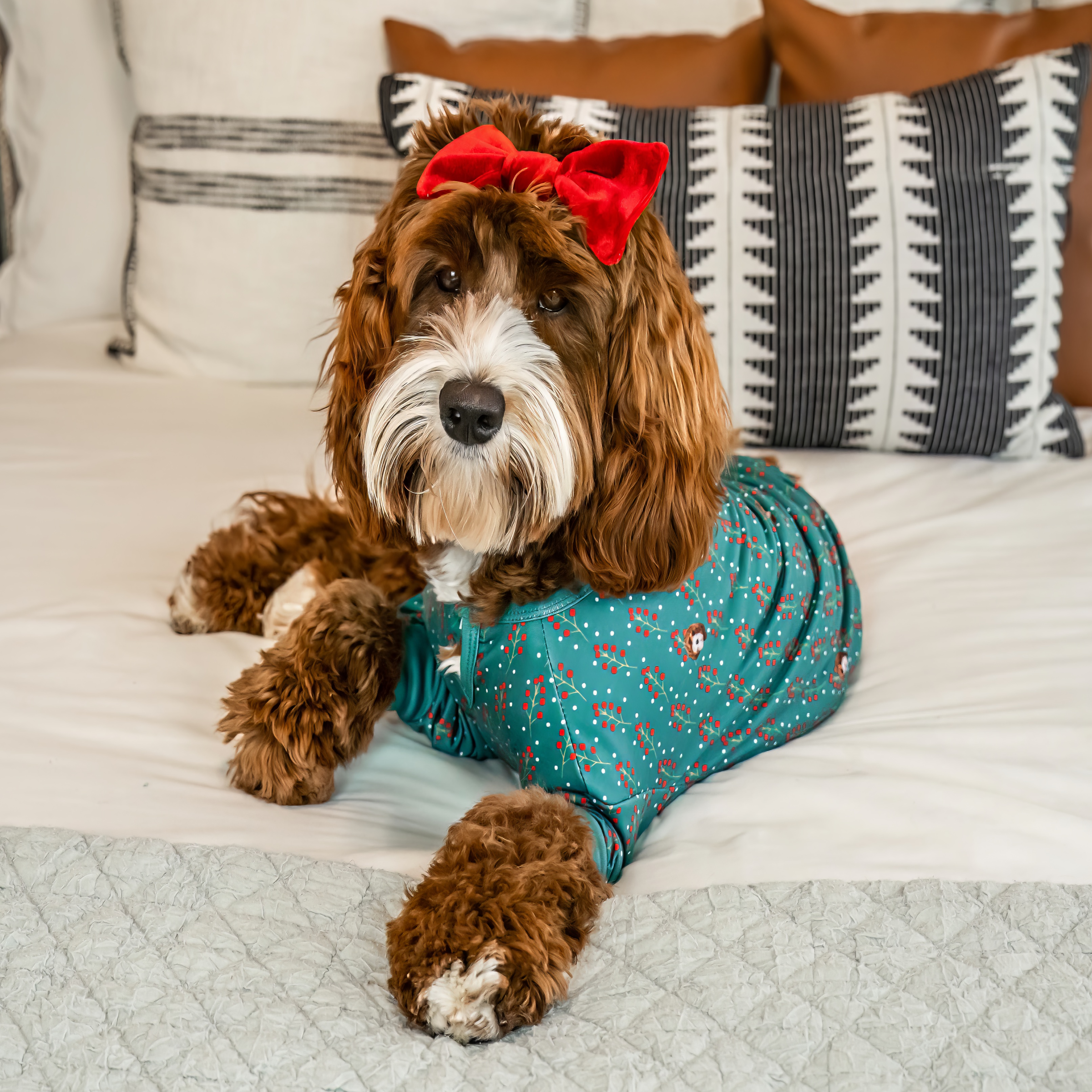 Dog with a red bow and green pajamas on a bed.