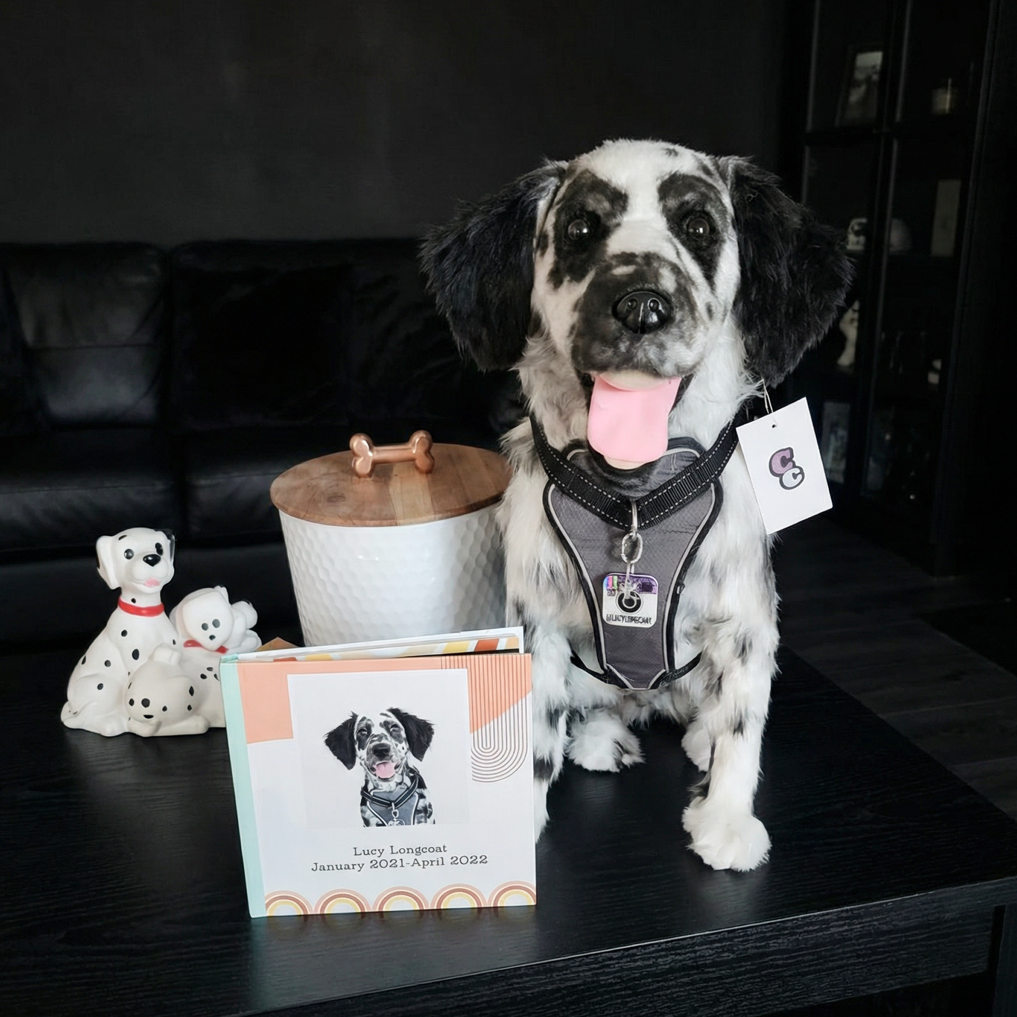 Plush memorial plush of a dalmatian.