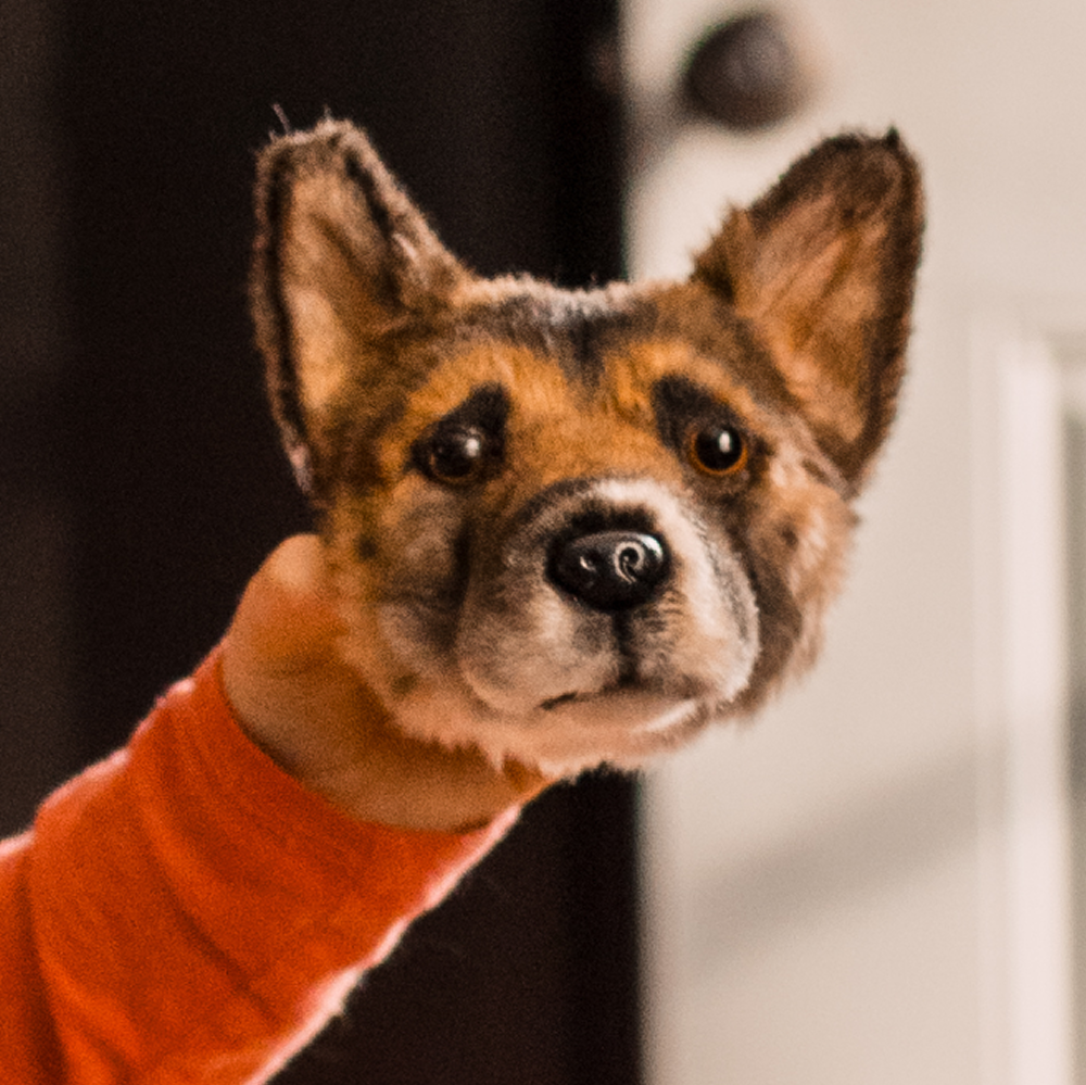 A hand holding a realistic dog mask.