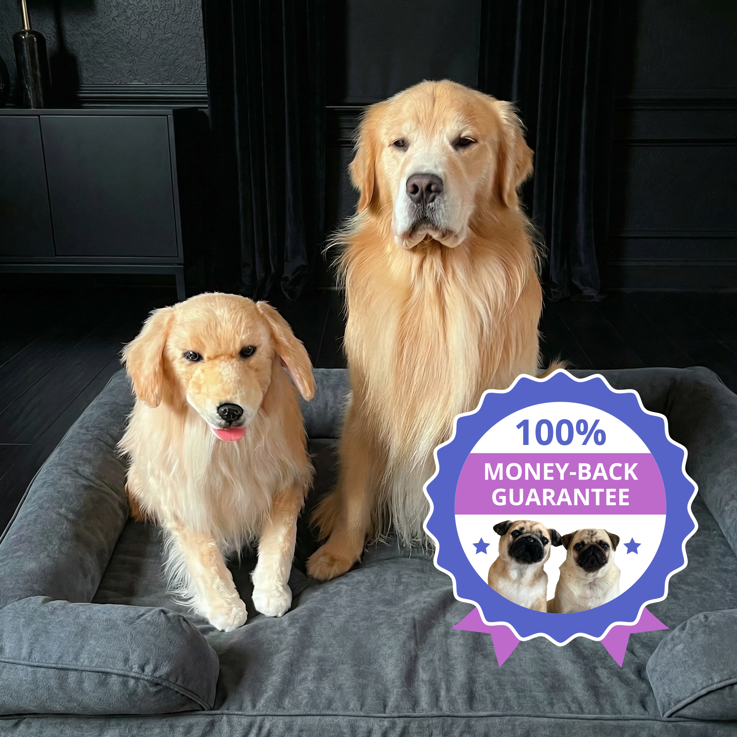 Golden Retriever sitting beside a realistic plush version of itself on a dog bed, with a blue badge reading '100% Money-Back Guarantee.