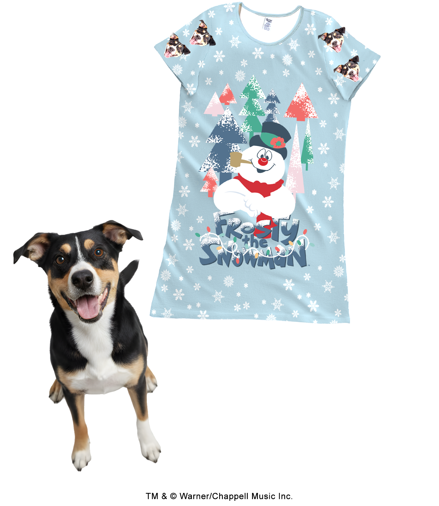 A light blue, short-sleeve nightgown featuring a large graphic of Frosty the Snowman in a colorful forest with the title 'Frosty the Snowman' written below. The nightgown is patterned with white snowflakes, and the sleeves feature a repeating design of a black, white, and tan dog's face. A real dog with matching markings stands happily next to the nightgown.