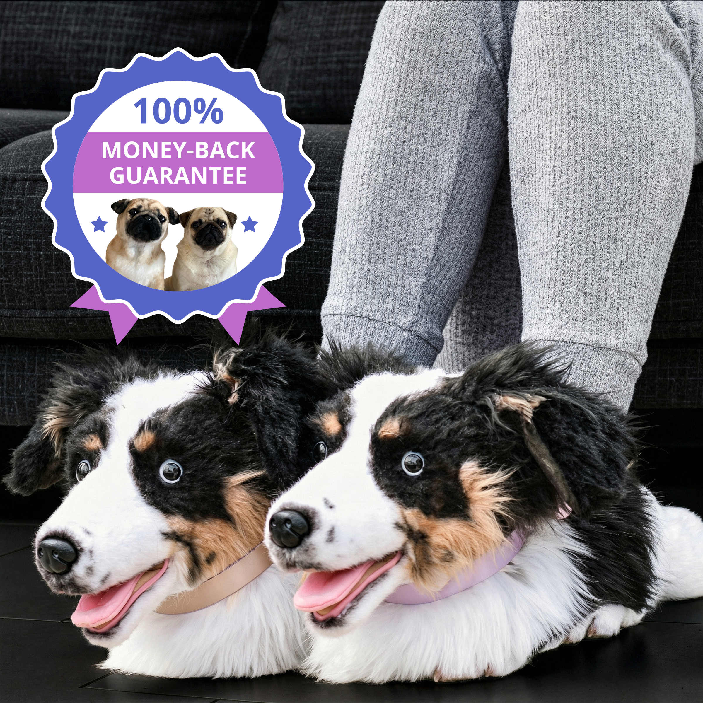 Black & white dog, large pointed ears, plaid bandana, on couch with two identical plush slippers, all facing forward.