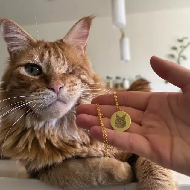 A person's hand holds up a gold circular pendant necklace with an engraved cat portrait. The hand is positioned in front of a large, fluffy one-eyed orange Maine Coon cat, which is looking directly at the camera. 