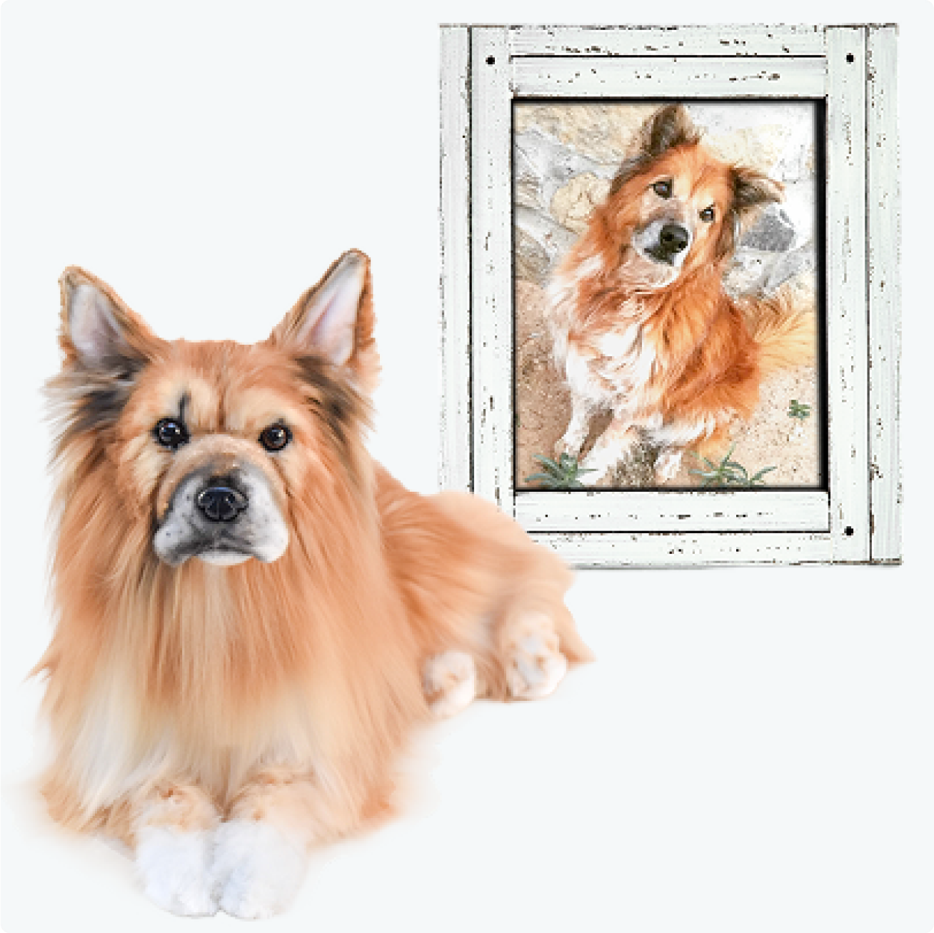A realistic dog sculpture beside a framed painting of the same dog.