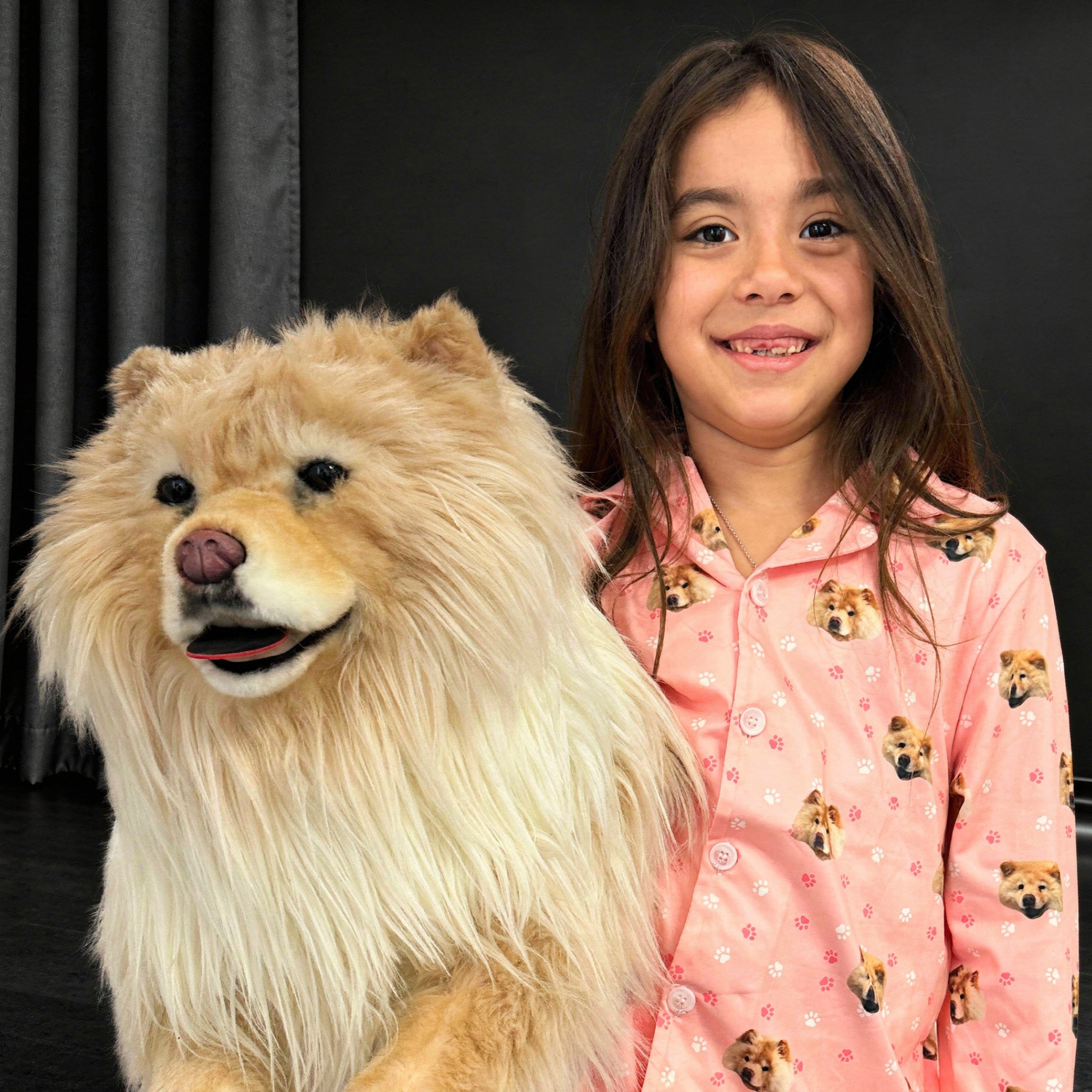 Brown & white dog sits on couch by custom plush double with matching markings.