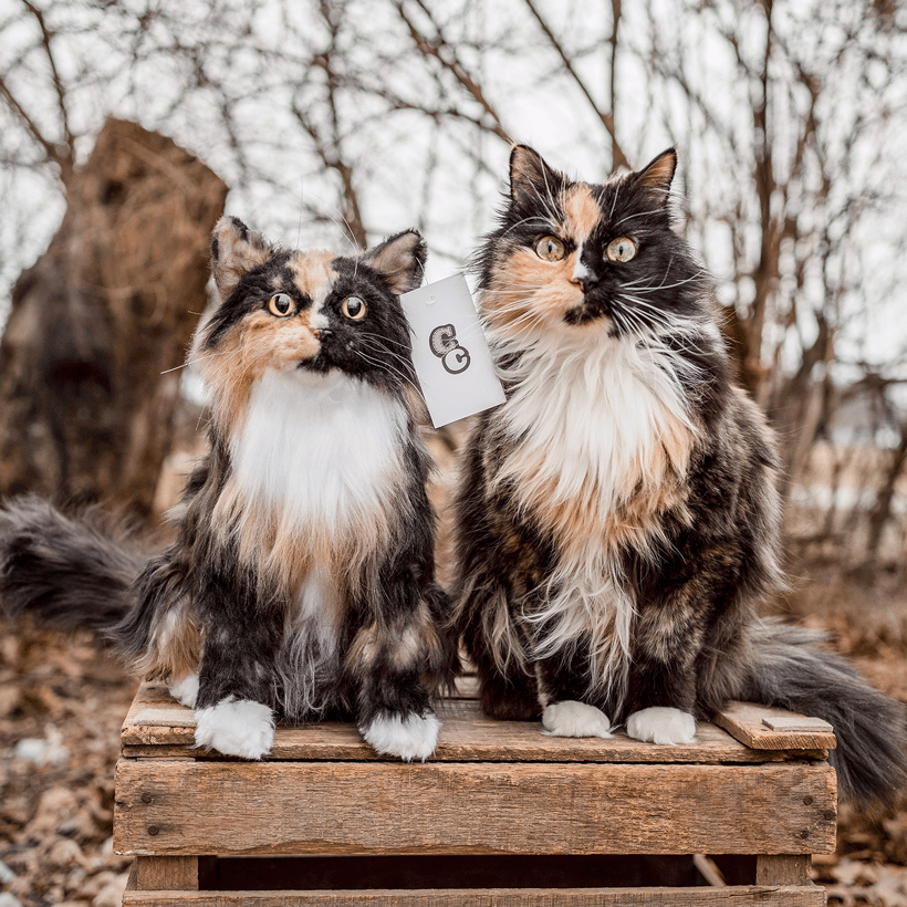 Stuffed Animal That Looks Like Your Pet Customize a High-Quality