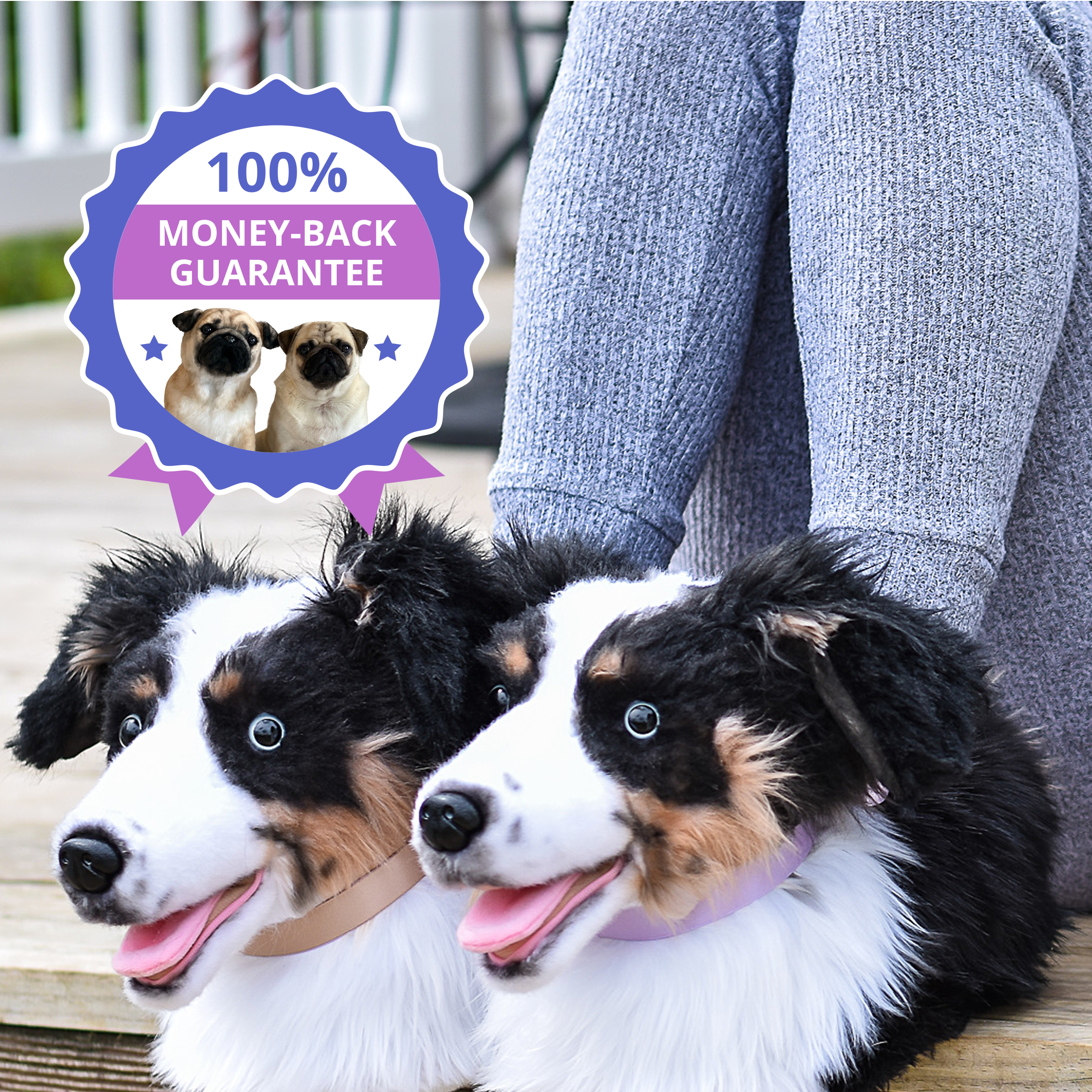 A black and white dog with large pointed ears and a colorful plaid bandana lies on a couch next to two plush slippers that closely resemble it, all three facing forward.
