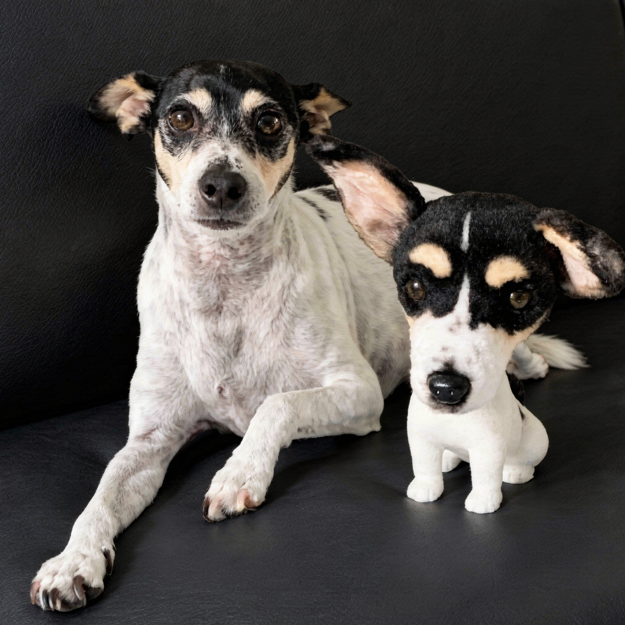 A black and white dog lies on a couch next to its custom bobblehead mini-me.