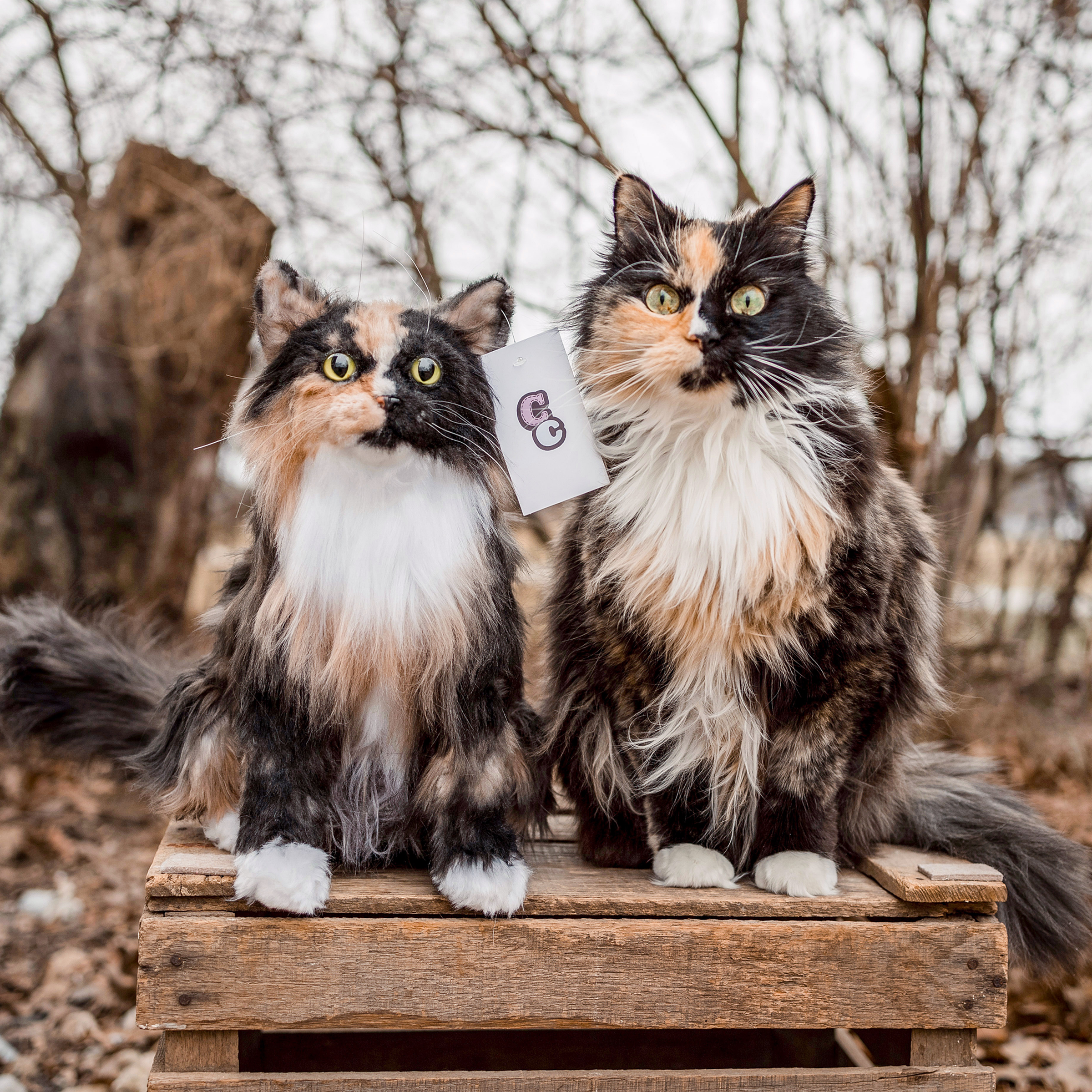 A photograph taken outdoors on an overcast day shows a real long-haired Calico or Tortoiseshell cat seated next to a highly realistic plush replica of itself.