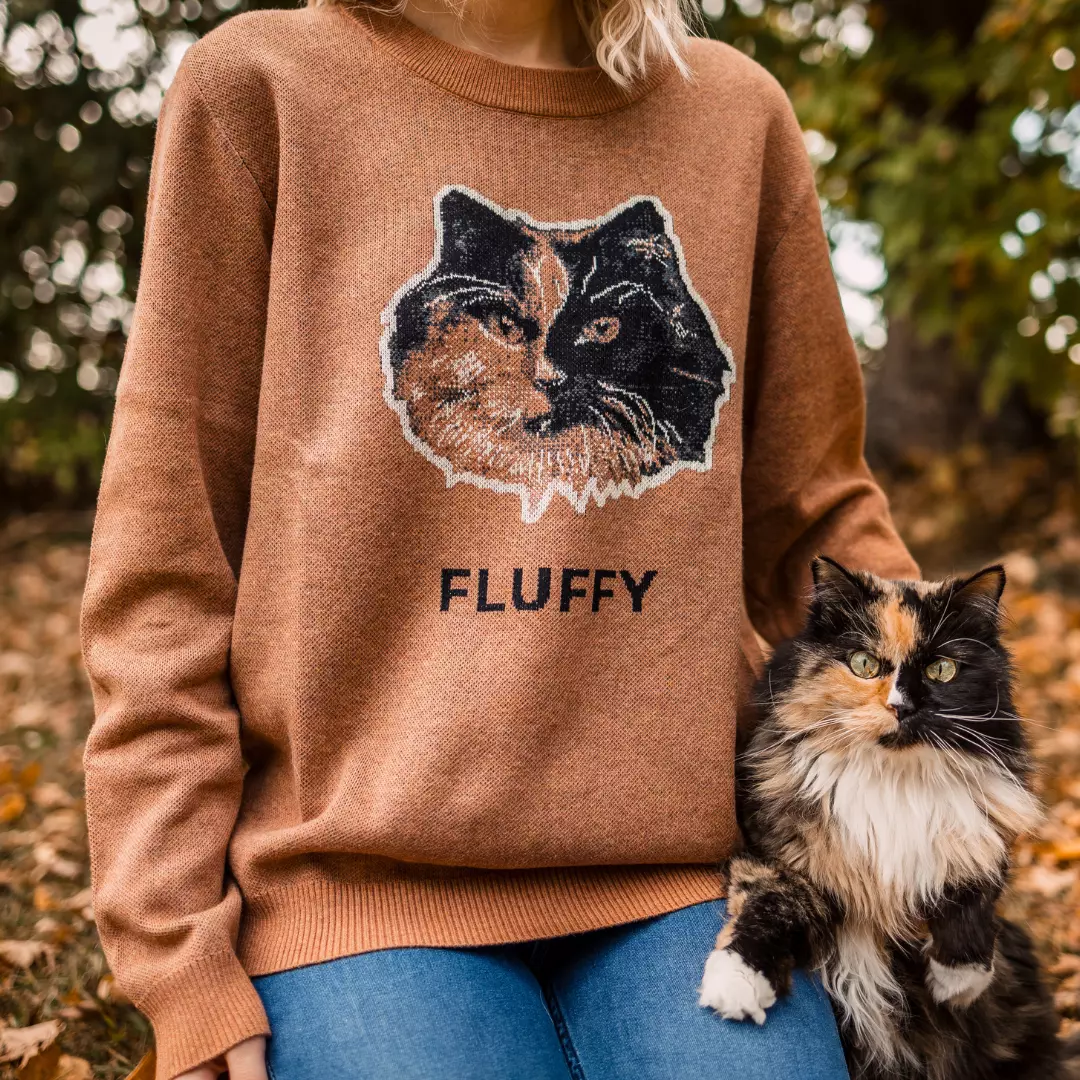 Person wearing a brown knit sweater with a cat image, next to a matching fluffy cat.