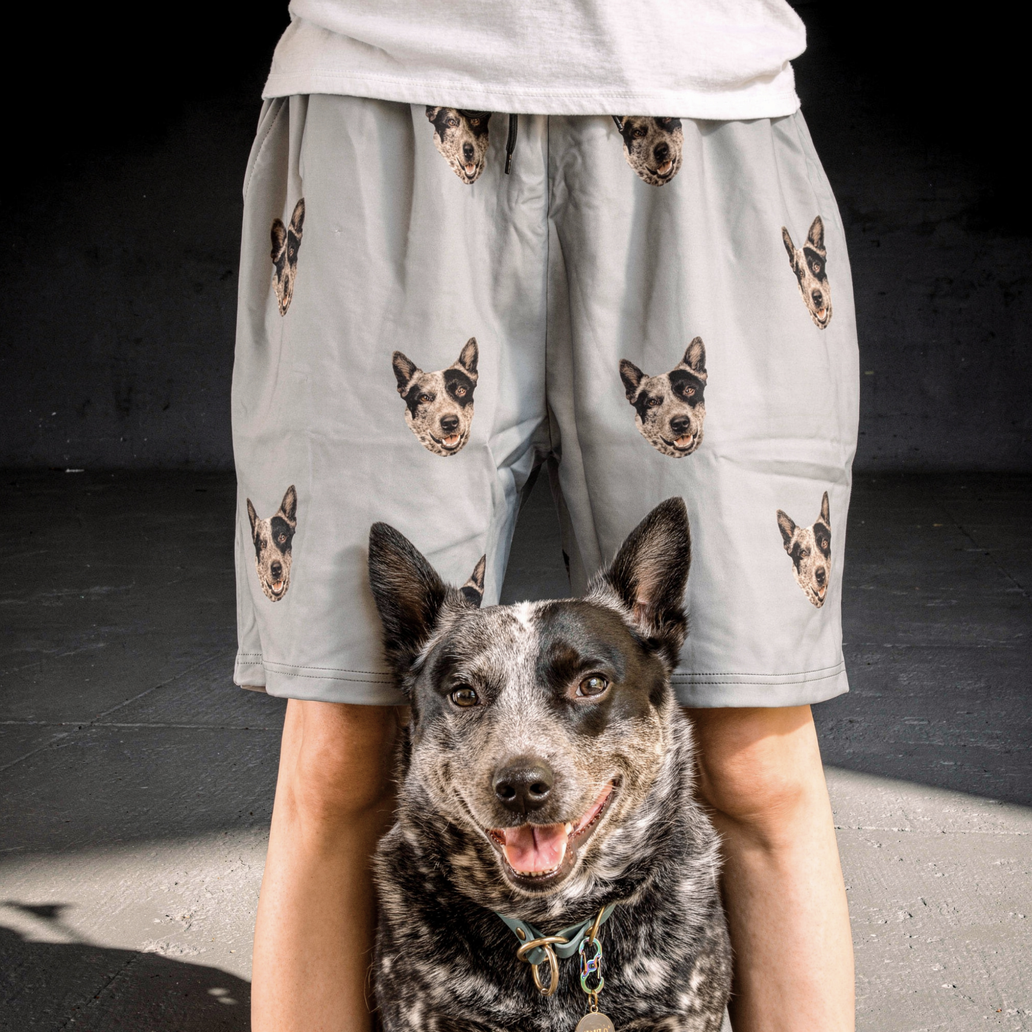 A close-up shot of an Australian Cattle Dog sitting directly in front of a person's legs. The person is wearing light gray shorts customized with a repeating pattern of the dog's face. The dog is smiling, with a white railing and green foliage visible in the background.