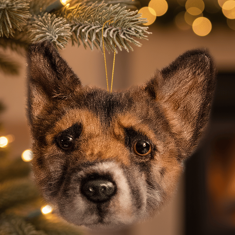 写真　アニマルトレーナー オルガ・セレステ プレスフォト 写真 アニマルトレーナー オルガ・セレステ プレスフォト - メルカリ