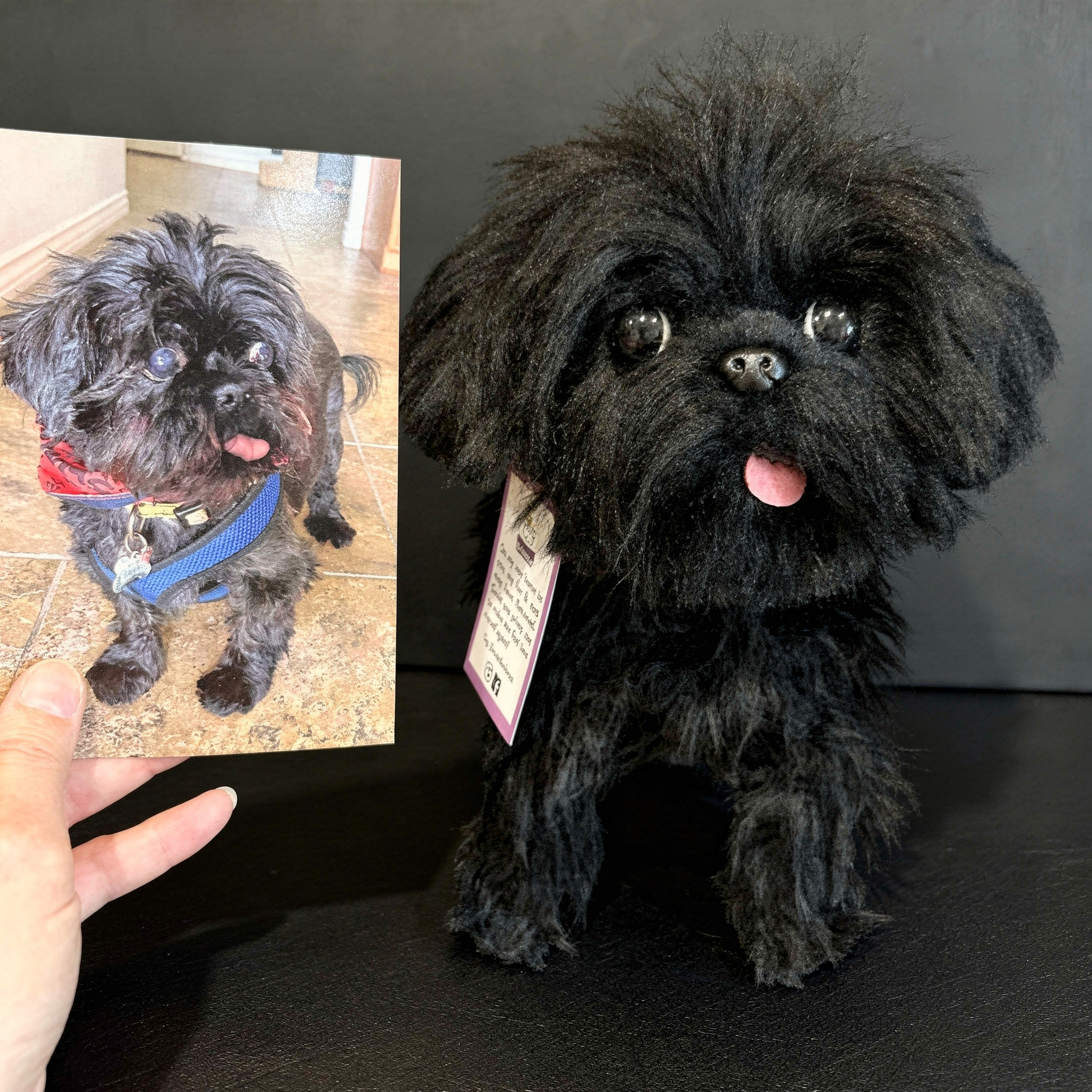 A small black dog with its tongue out next to a realistic plush replica, with the dog’s photo held in the background.