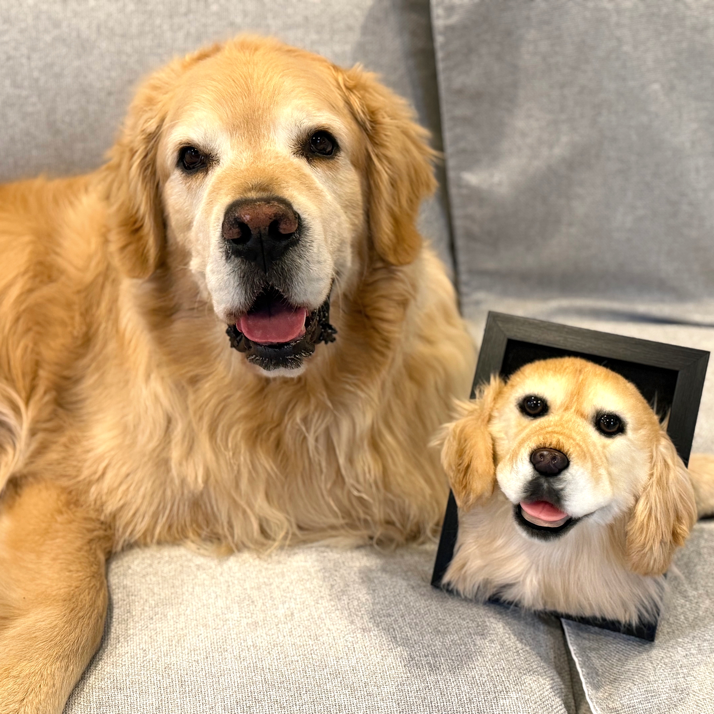 Golden Retriever dog posing next to framed custom pet portrait showing matching golden fur and happy expression.