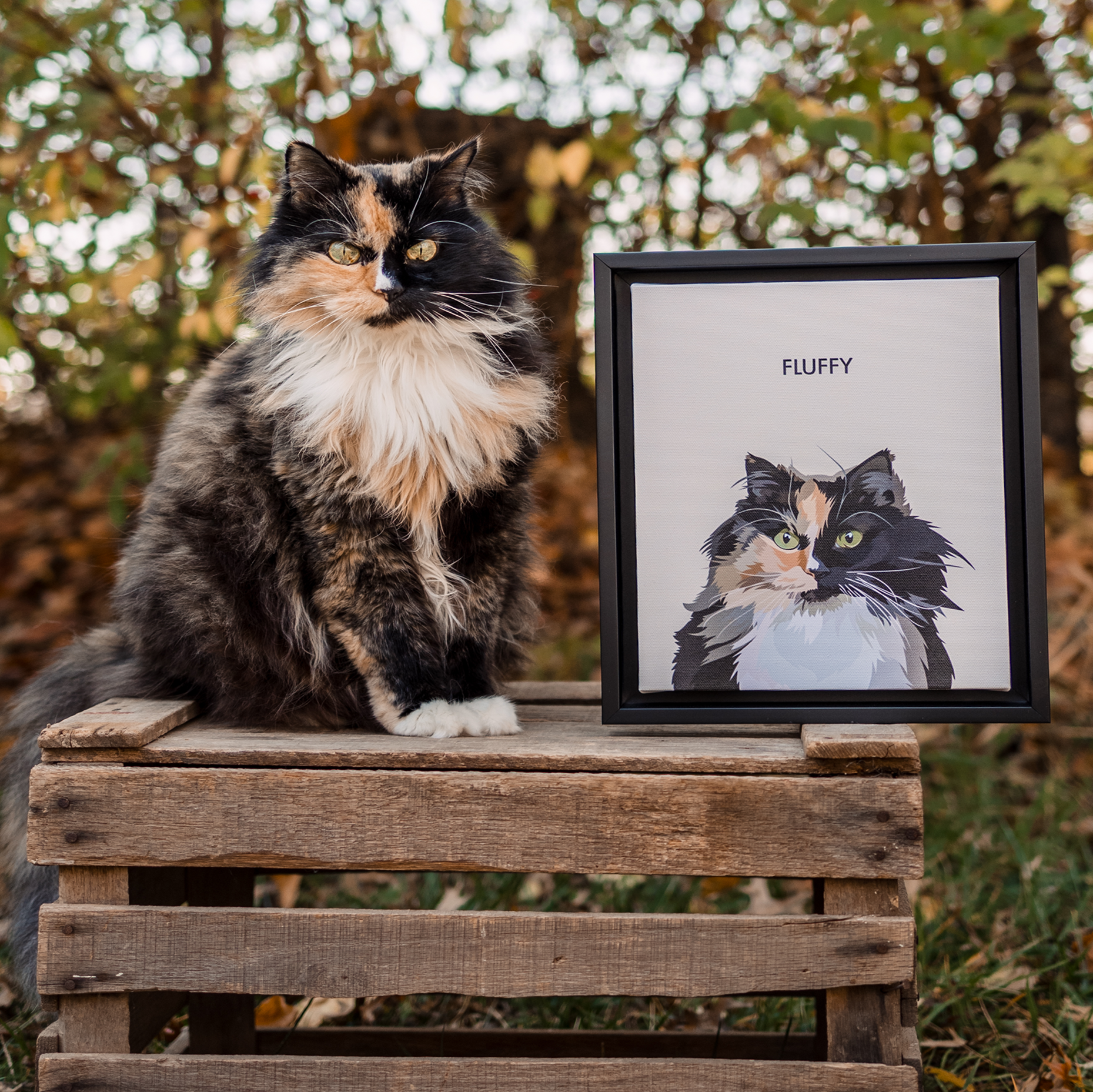 A fluffy Calico cat sits on a wooden crate outdoors in an autumn setting next to a framed illustration of its face, with the name 'FLUFFY' printed above the portrait.