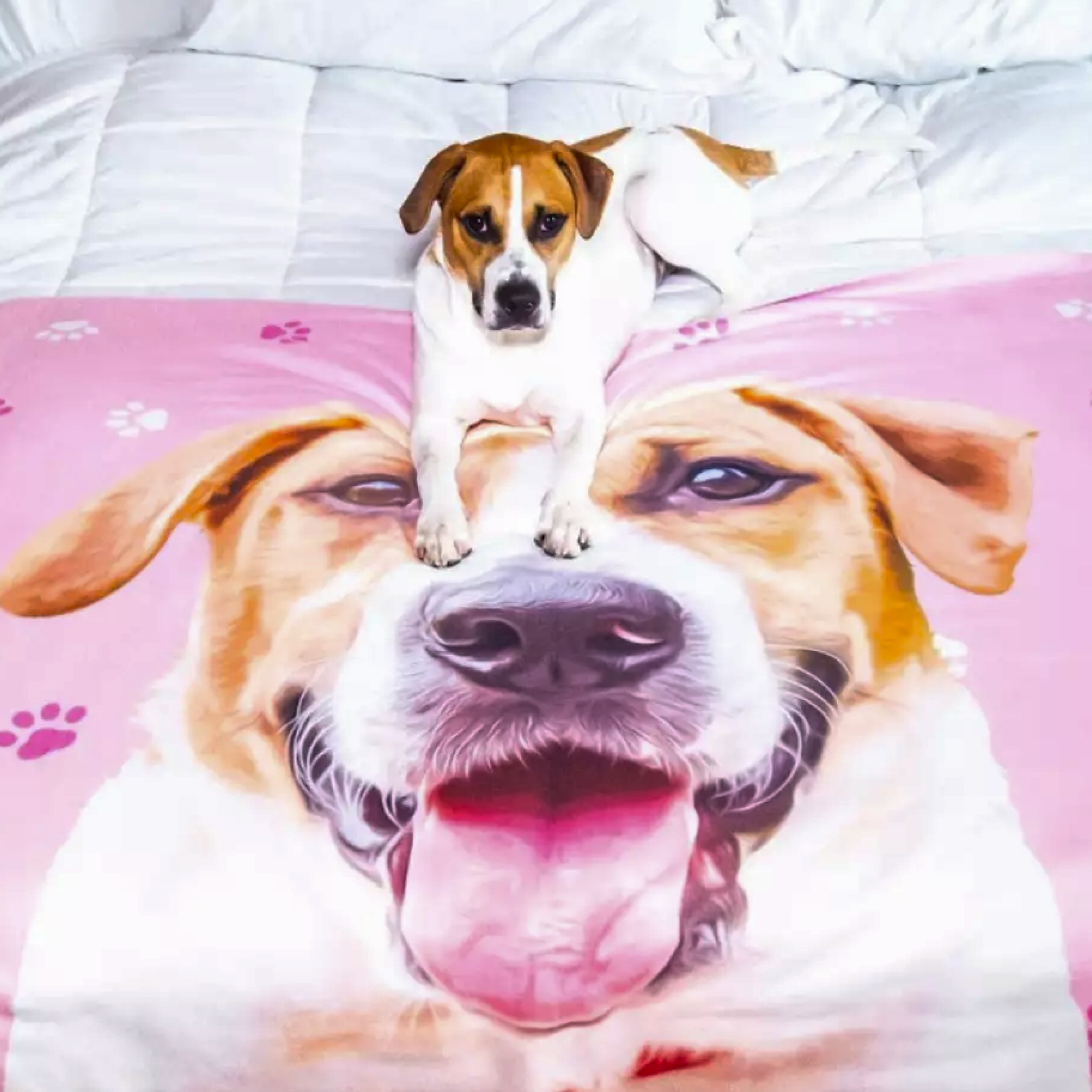 A brown and white dog lays on a pink blanket decorated with its own large printed portrait and paw prints, looking directly at the camera.