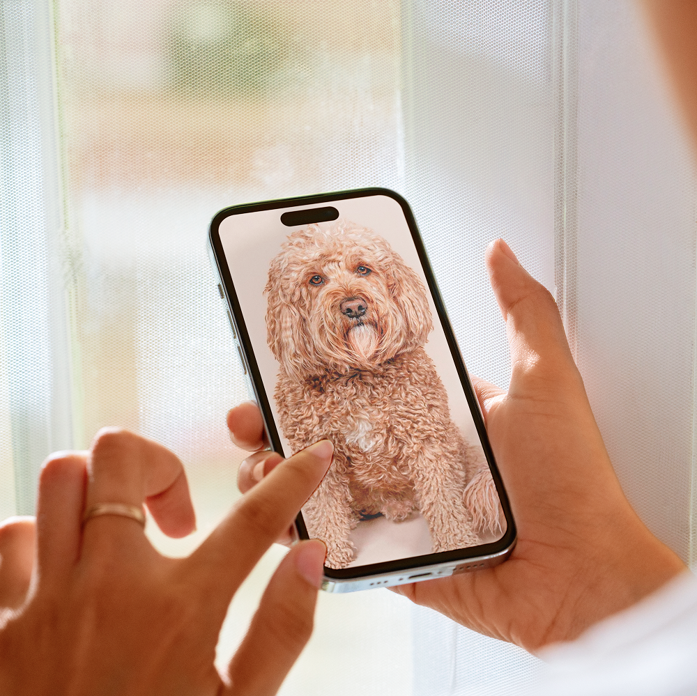 Person holding a smartphone displaying a photo of a curly-haired dog.